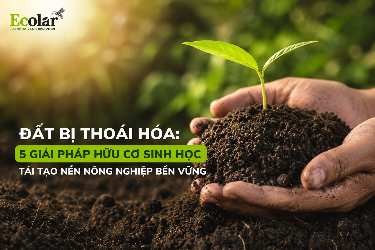 Đất Bị Thoái Hóa: 5 Giải Pháp Hữu Cơ Sinh Học Tái Tạo Nền Nông Nghiệp Bền Vững