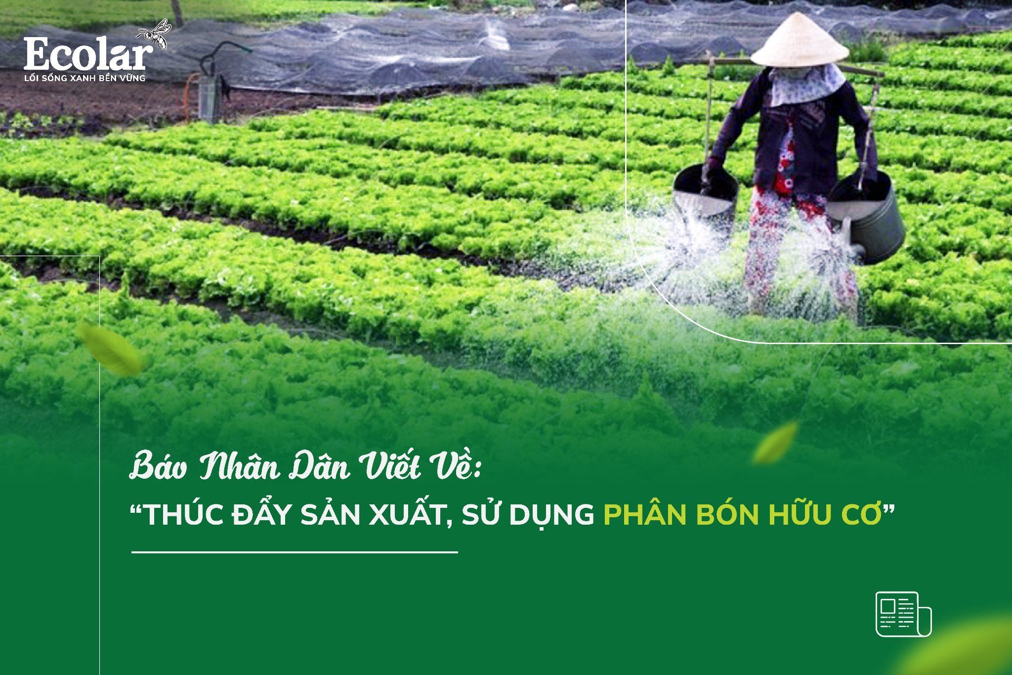Thúc Đẩy Sản Xuất, Sử Dụng Phân Bón Hữu Cơ