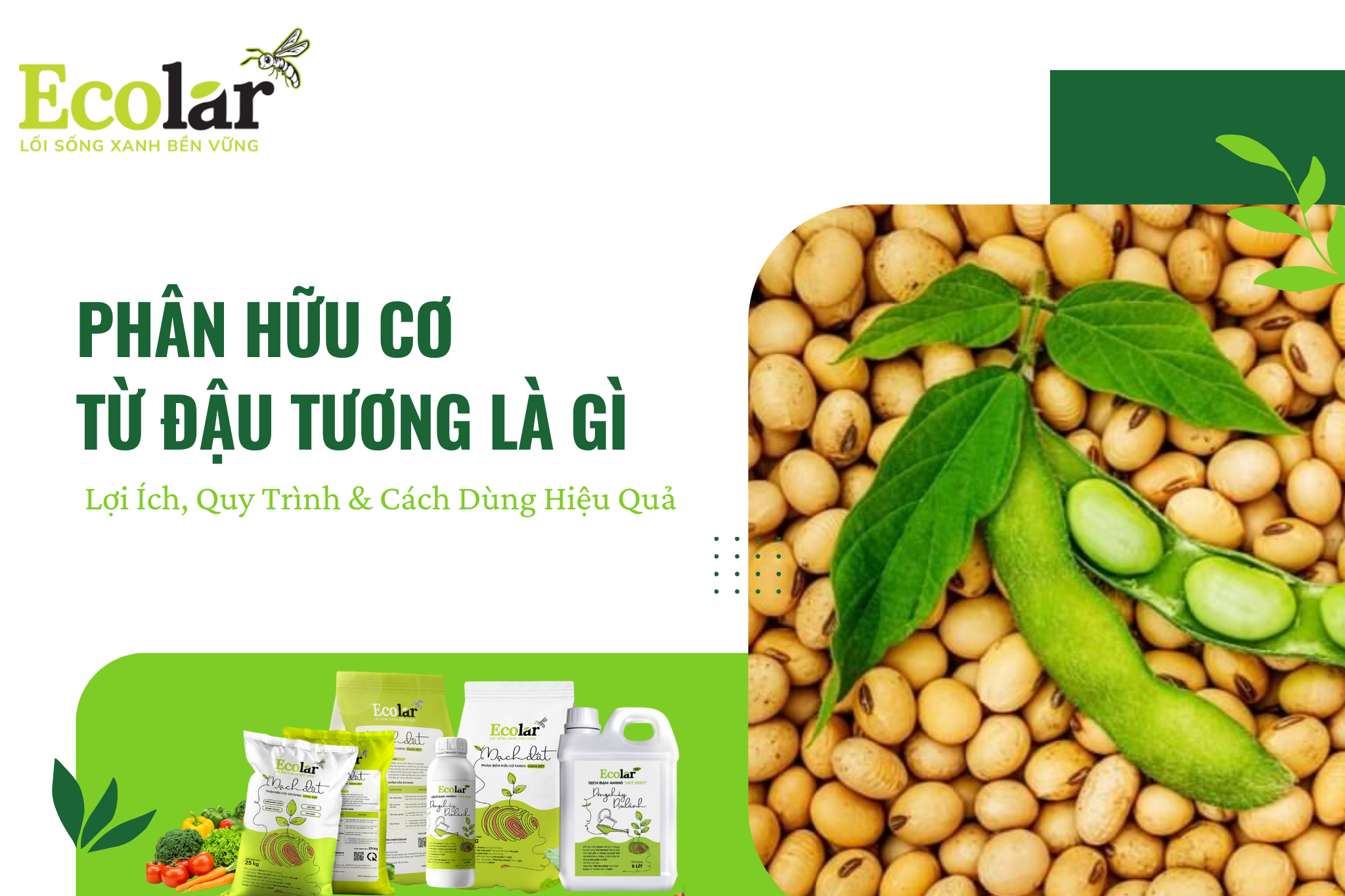 Phân Hữu Cơ Từ Đậu Tương Là Gì? Lợi Ích, Quy Trình & Cách Dùng Hiệu Quả