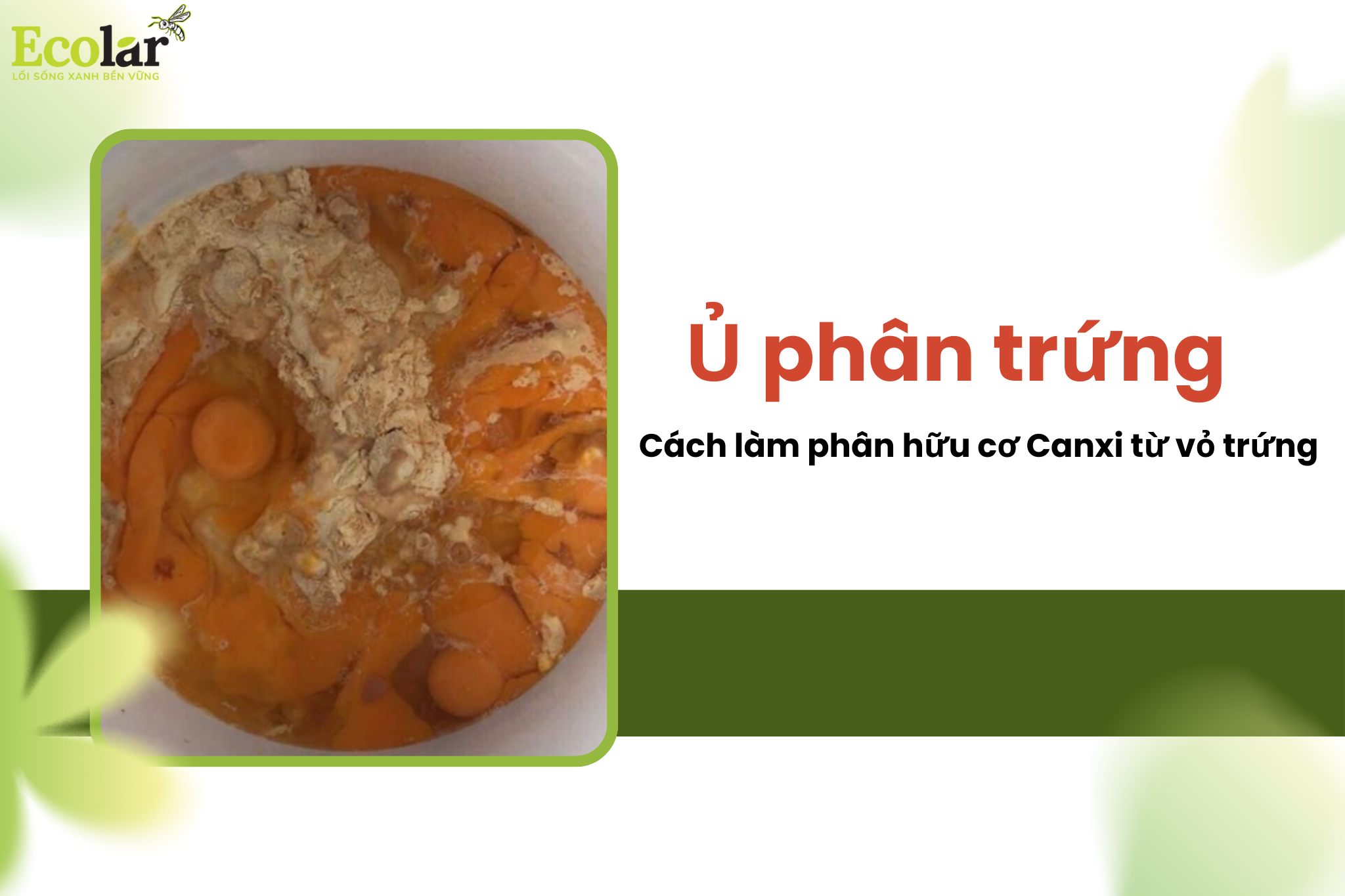 Ủ phân trứng: Cách làm phân hữu cơ Canxi từ vỏ trứng