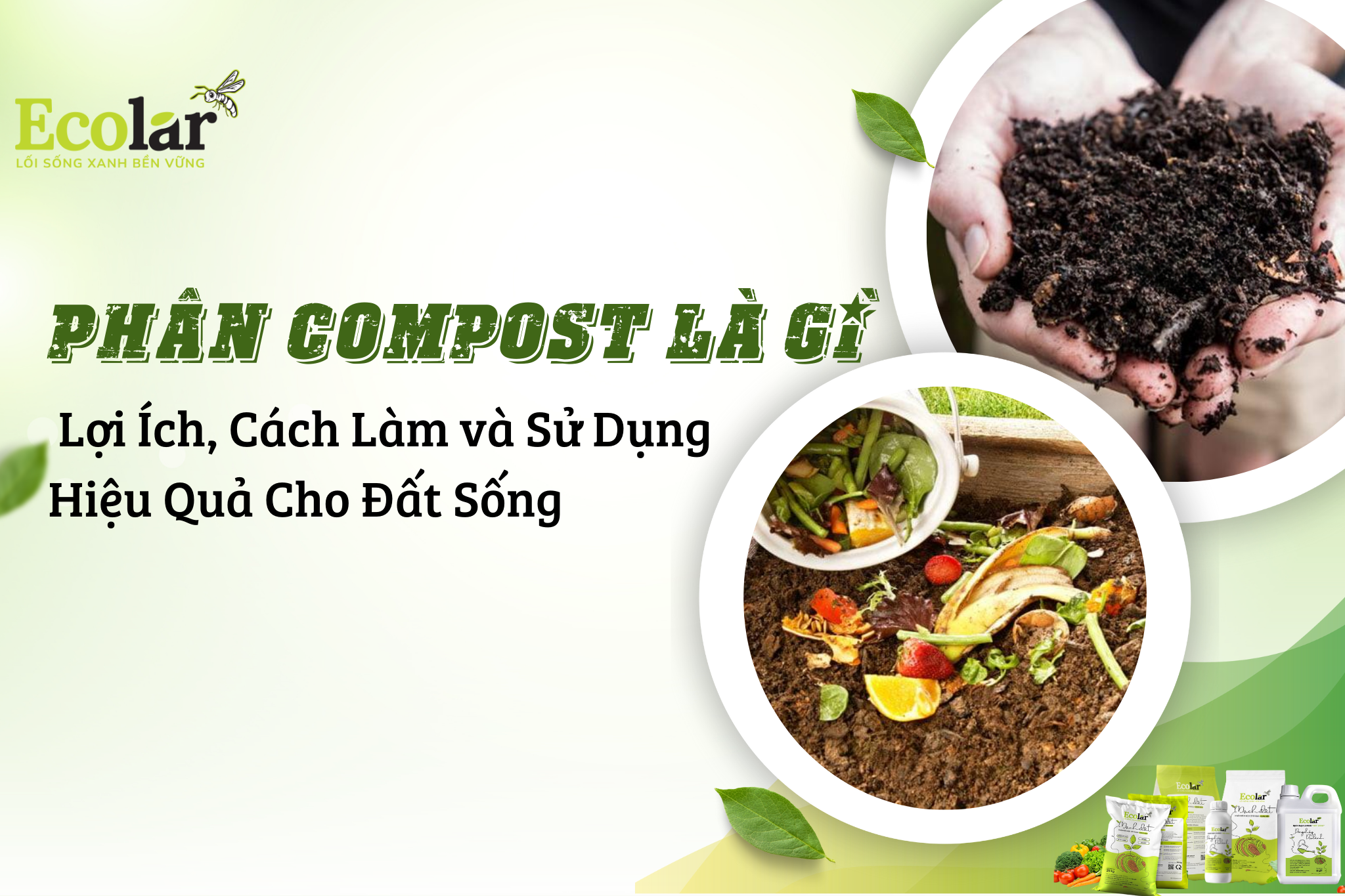Phân Compost Là Gì? Lợi Ích, Cách Làm & Sử Dụng Hiệu Quả Cho Đất Sống