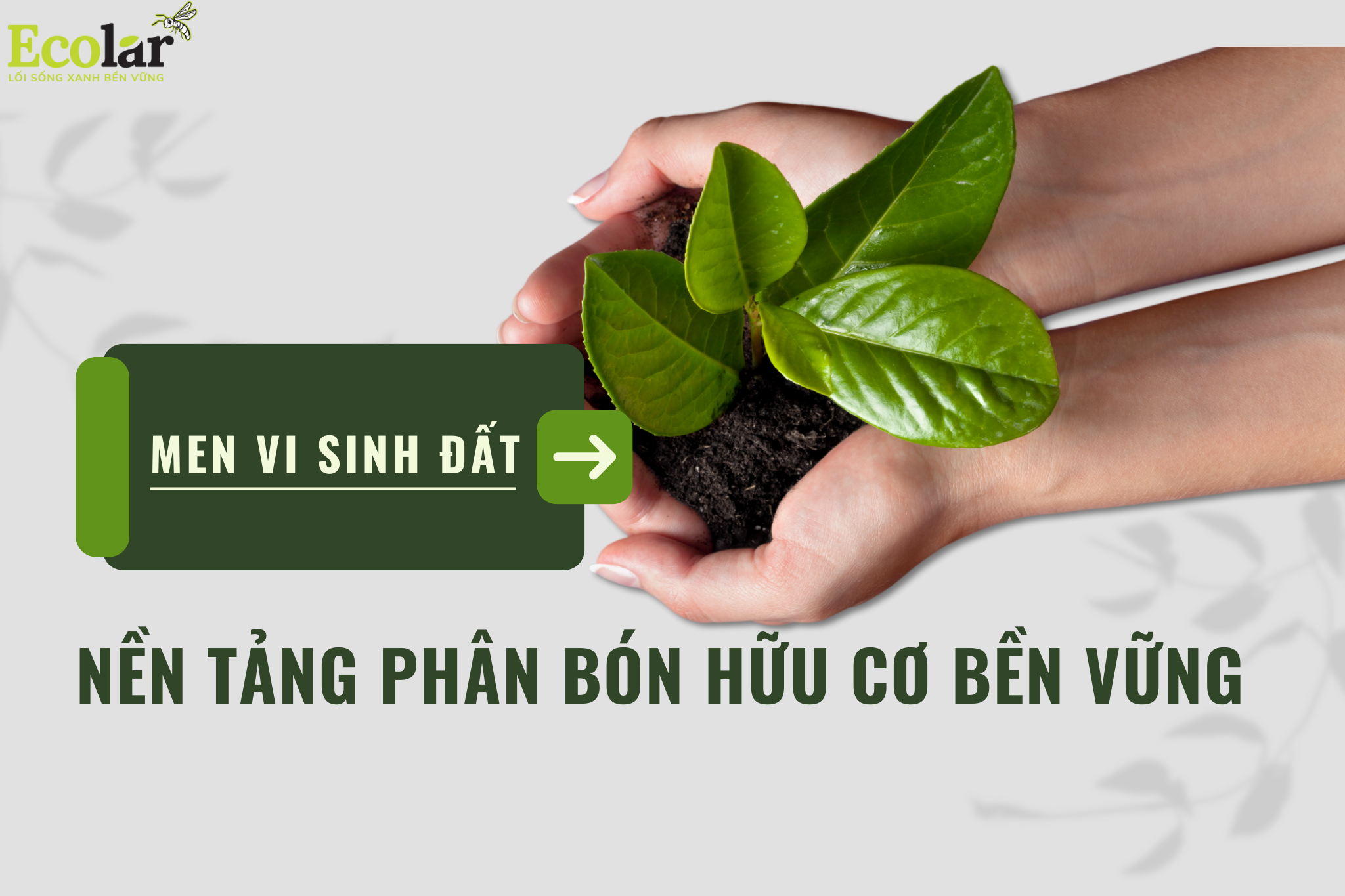 Men vi sinh đất: Nền tảng phân bón hữu cơ bền vững