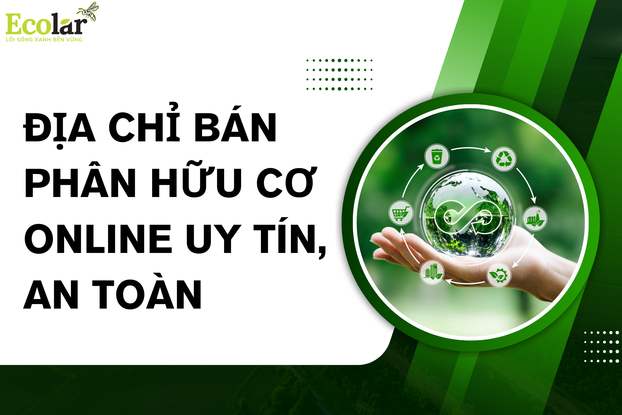 Địa Chỉ Bán Phân Hữu Cơ Online Uy Tín, An Toàn