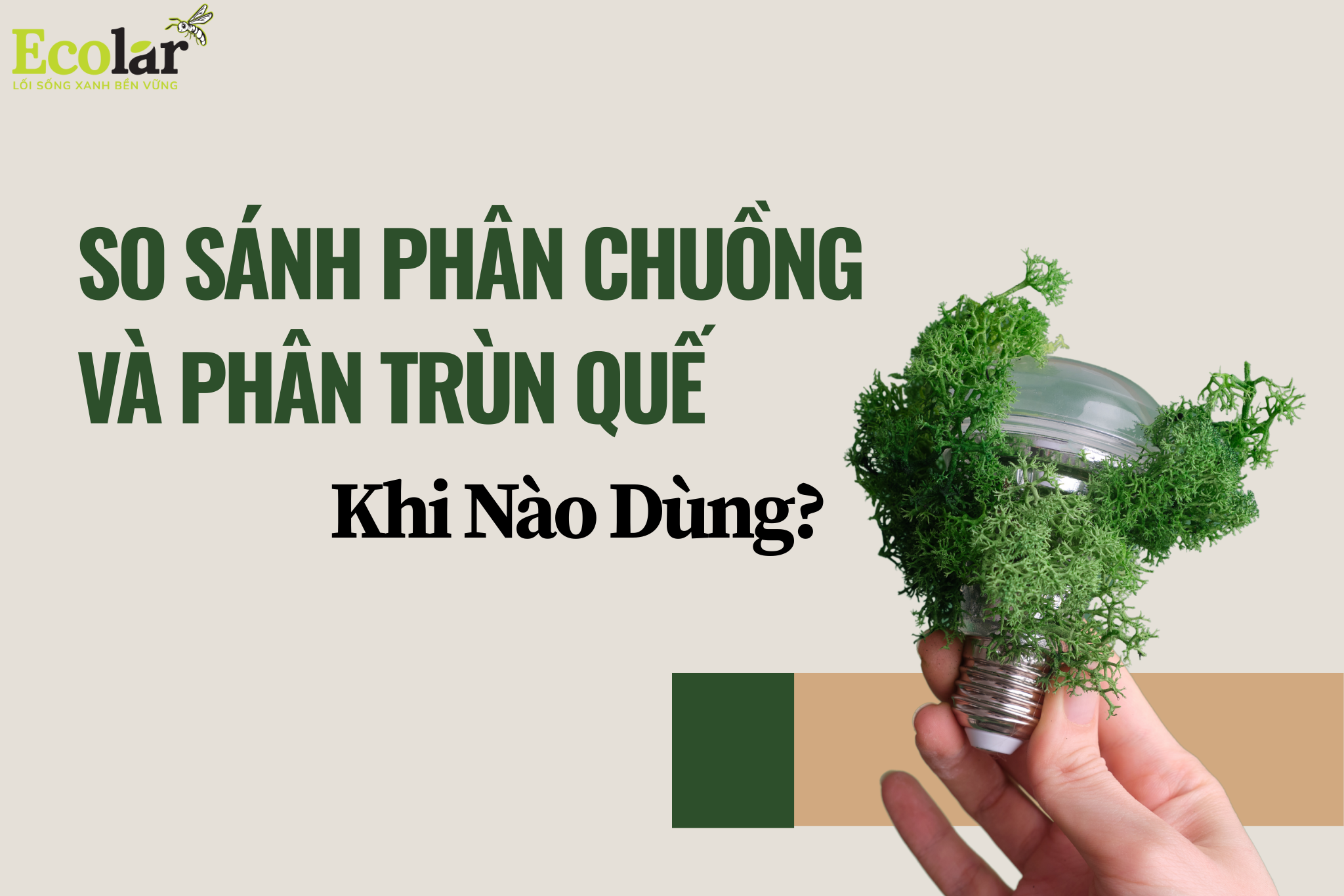 So Sánh Phân Chuồng Và Phân Trùn Quế: Khi Nào Dùng?