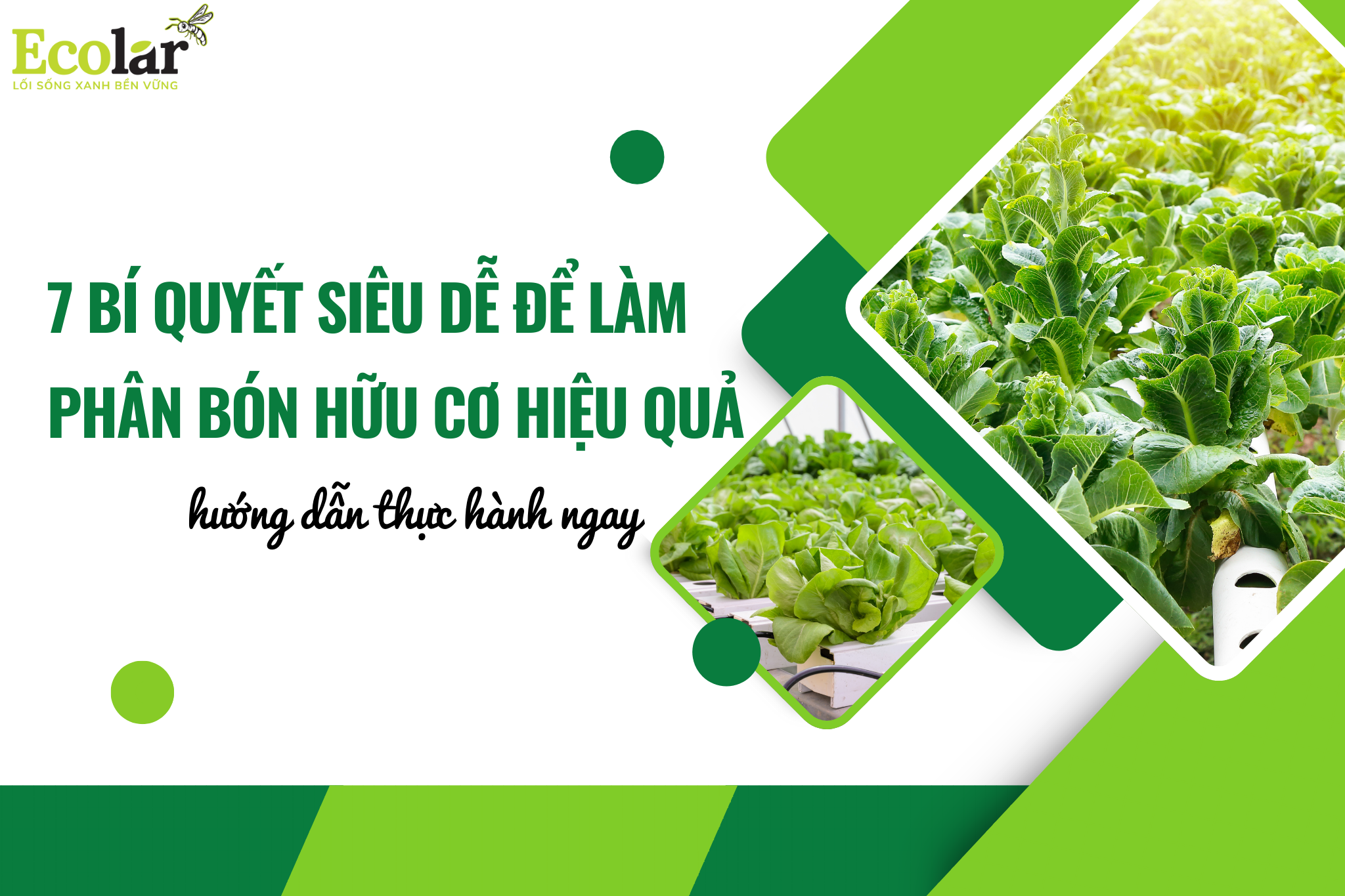 7 Bí Quyết Làm Phân Bón Hữu Cơ Tại Nhà: Ít Mùi, Dễ Làm, Hiệu Quả Nhanh