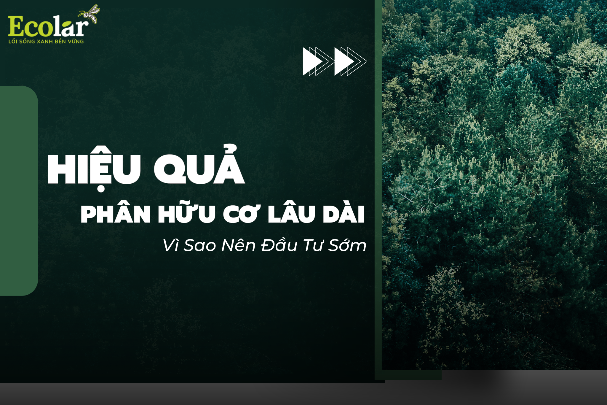 Hiệu Quả Phân Hữu Cơ Lâu Dài: Vì Sao Nên Đầu Tư Sớm