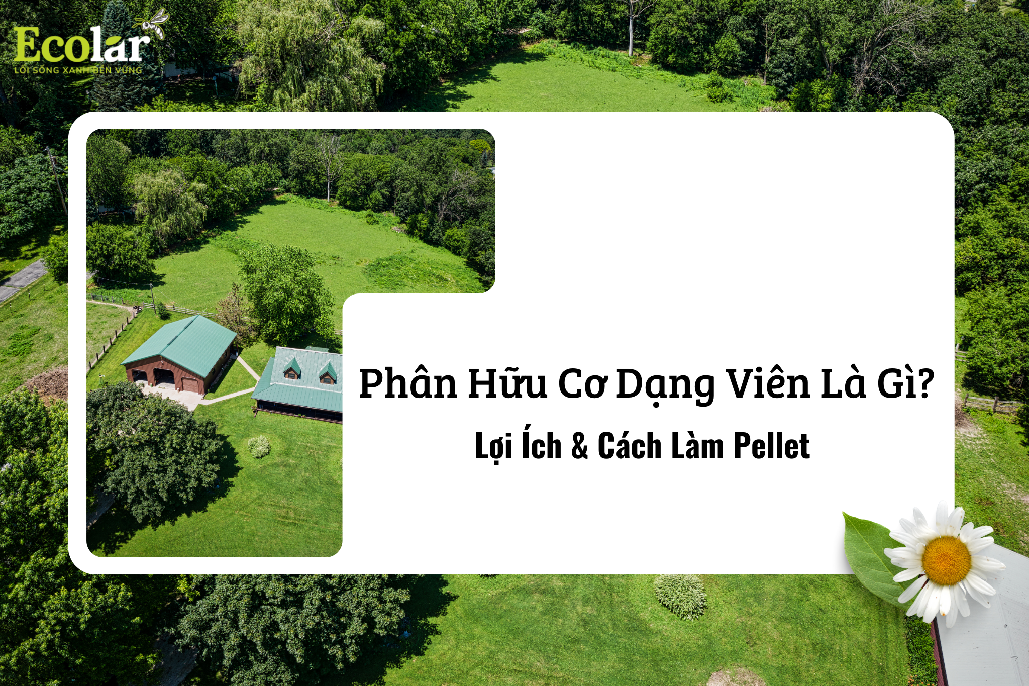Phân Hữu Cơ Dạng Viên Là Gì? Lợi Ích & Cách Làm Pellet