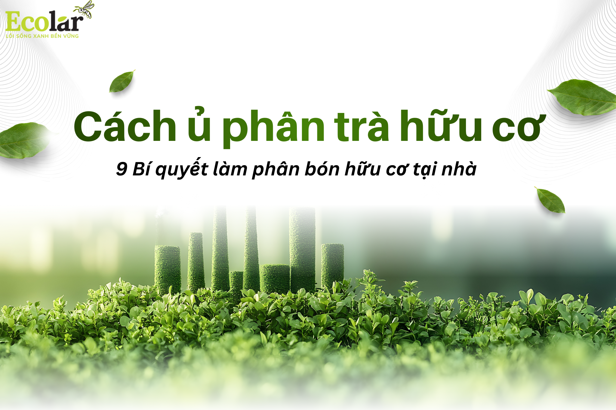 Cách ủ phân trà hữu cơ: 9 Bí quyết làm phân bón hữu cơ tại nhà