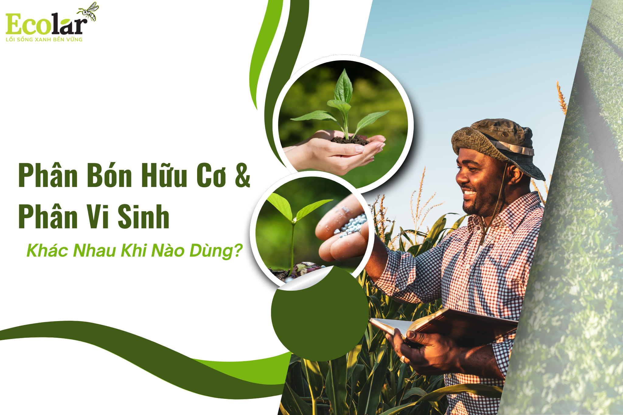 Phân Bón Hữu Cơ & Phân Vi Sinh: Khác Nhau Khi Nào Dùng?