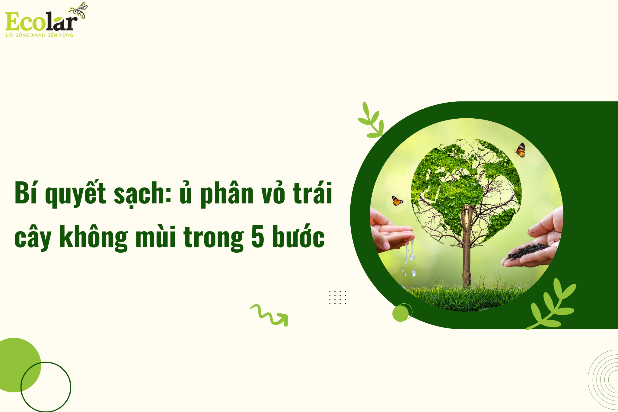 Bí quyết sạch: ủ phân vỏ trái cây không mùi trong 5 bước