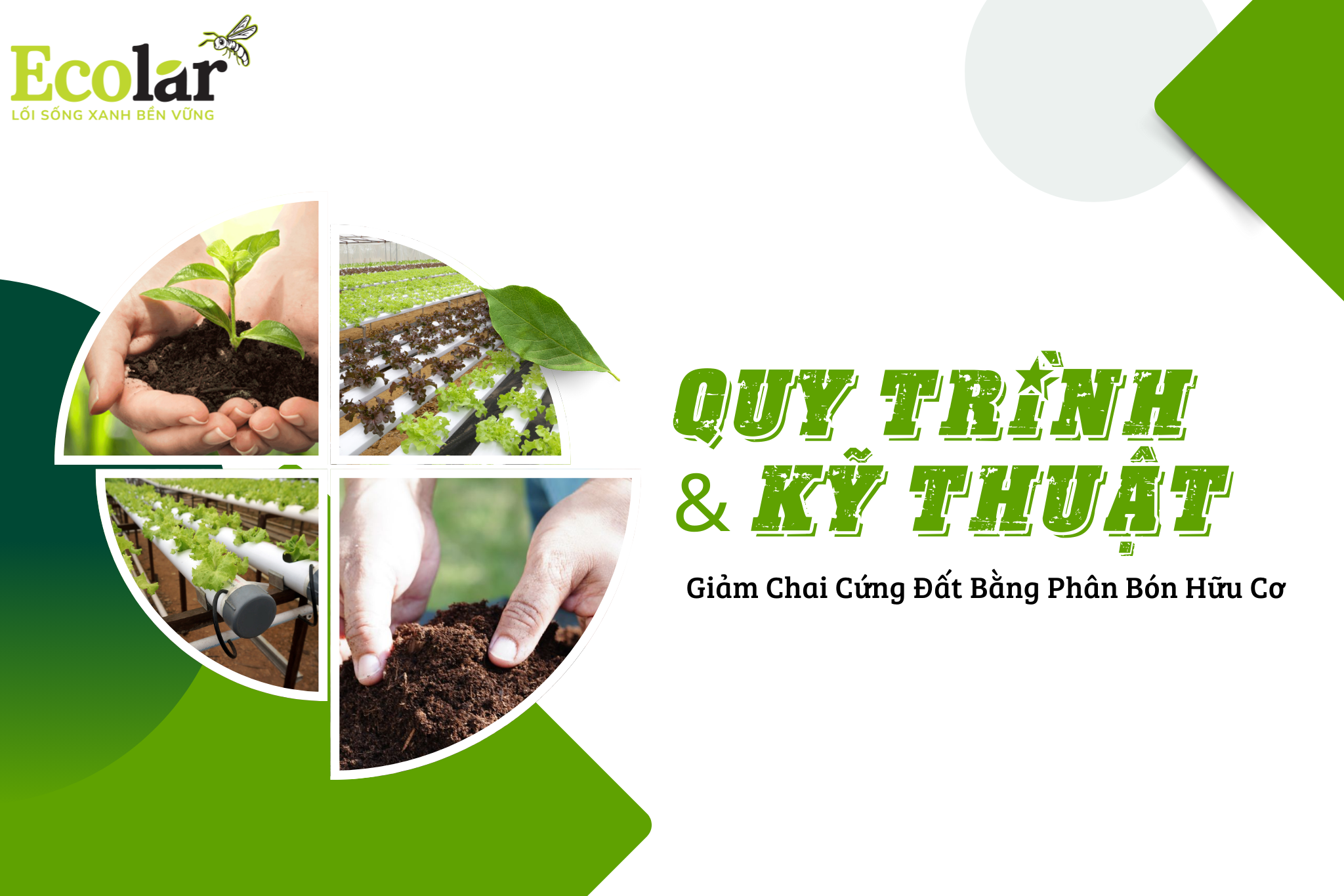 Quy trình & Kỹ thuật: Giảm Chai Cứng Đất Bằng Phân Bón Hữu Cơ