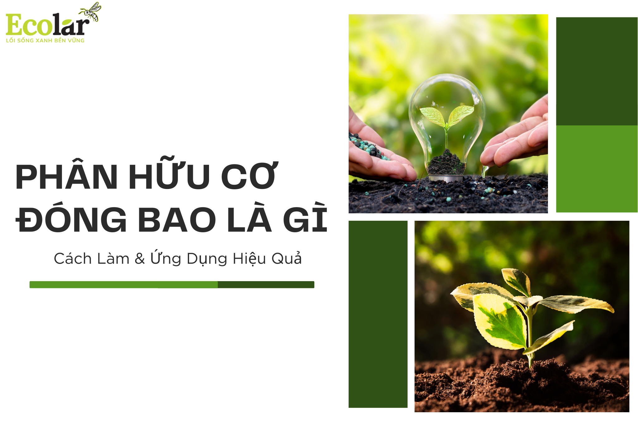 Phân Hữu Cơ Đóng Bao Là Gì? Cách Làm & Ứng Dụng Hiệu Quả