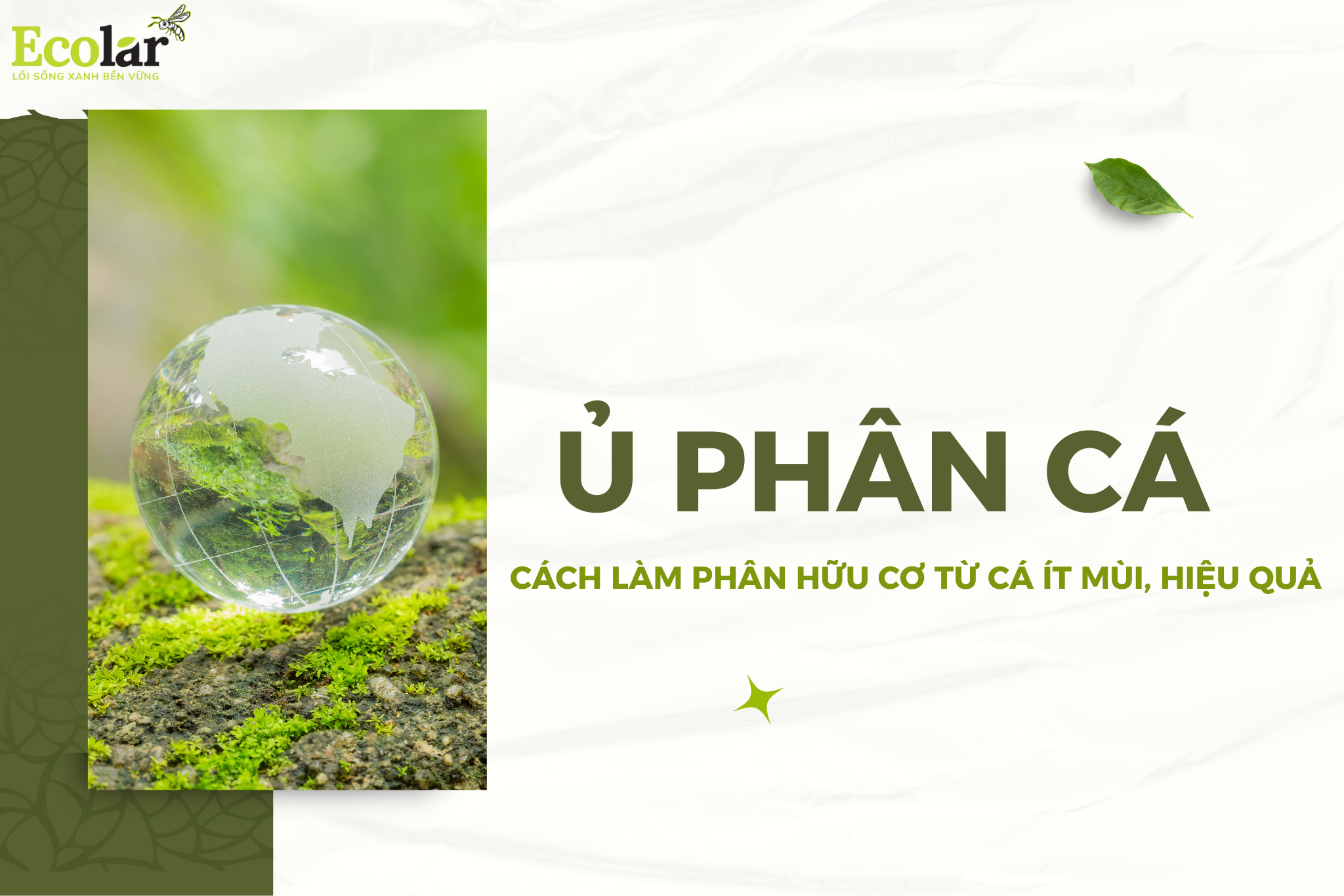 Ủ Phân Cá: Cách Làm Phân Hữu Cơ Từ Cá Ít Mùi, Hiệu Quả