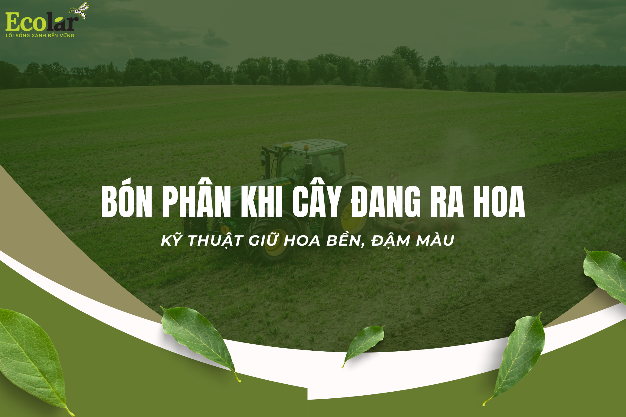 Bón Phân Khi Cây Đang Ra Hoa: Kỹ Thuật Giữ Hoa Bền, Đậm Màu