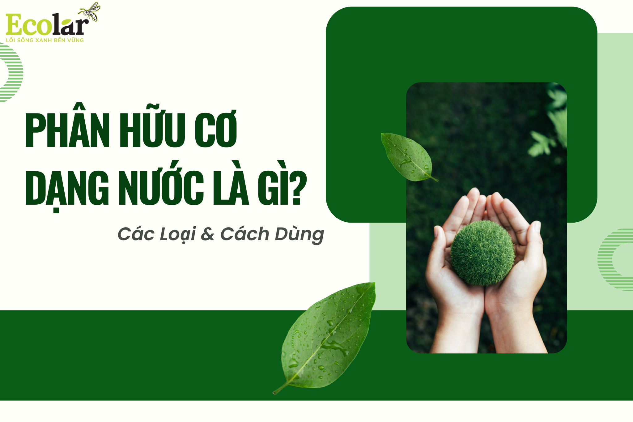 Phân Hữu Cơ Dạng Nước Là Gì? Các Loại & Cách Dùng