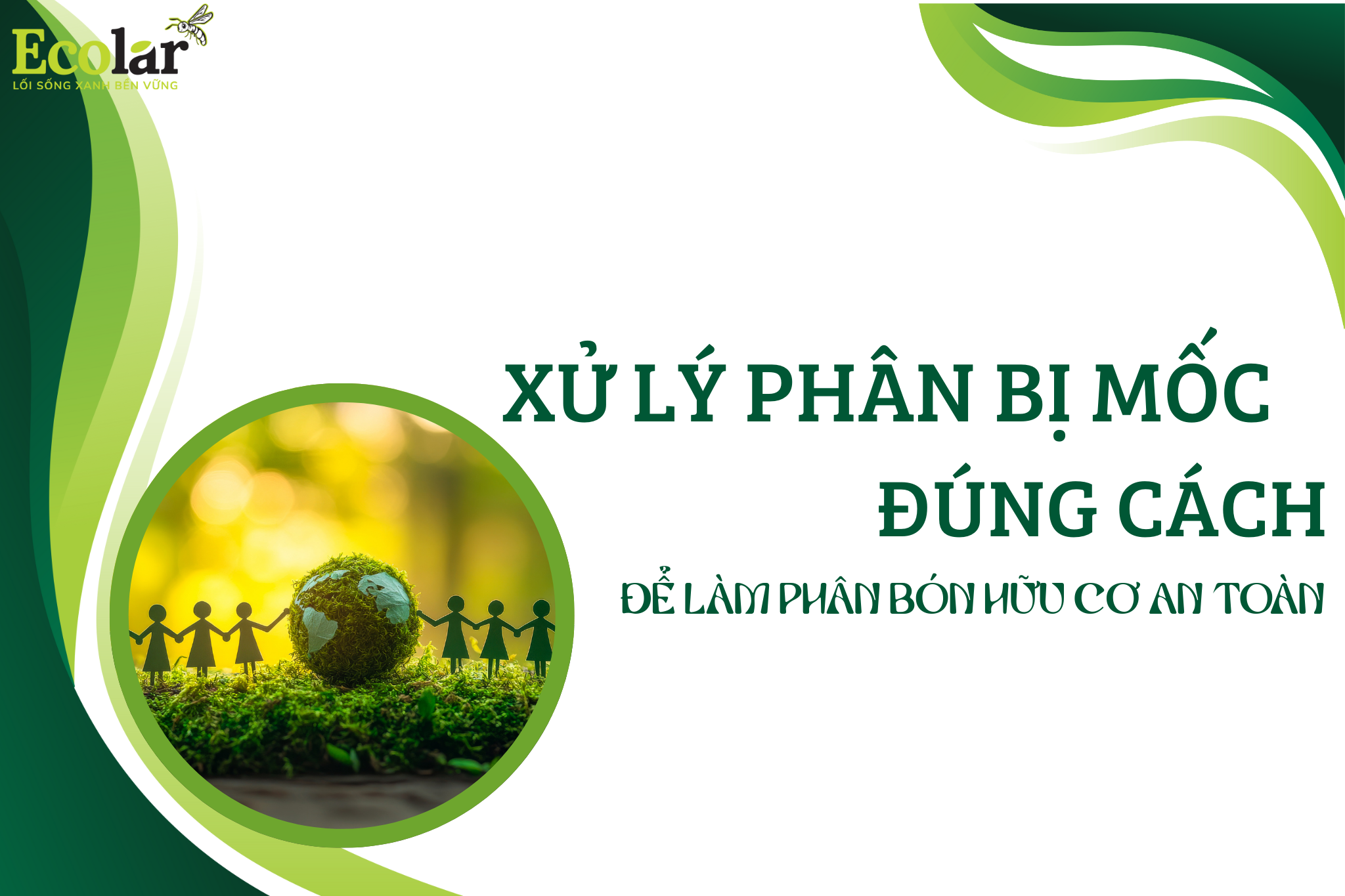 Xử Lý Phân Bị Mốc Đúng Cách Để Làm Phân Bón Hữu Cơ An Toàn