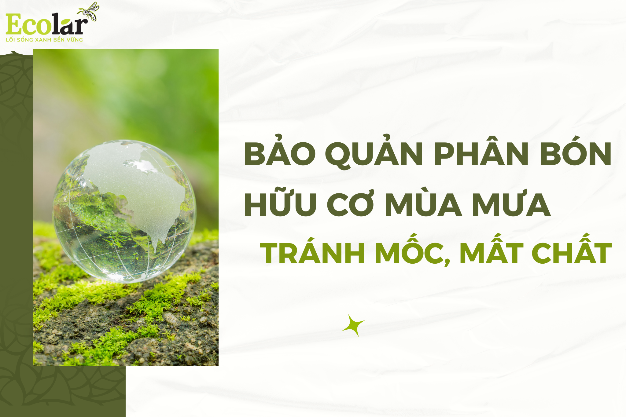 Bảo Quản Phân Bón Hữu Cơ Mùa Mưa: Tránh Mốc, Mất Chất