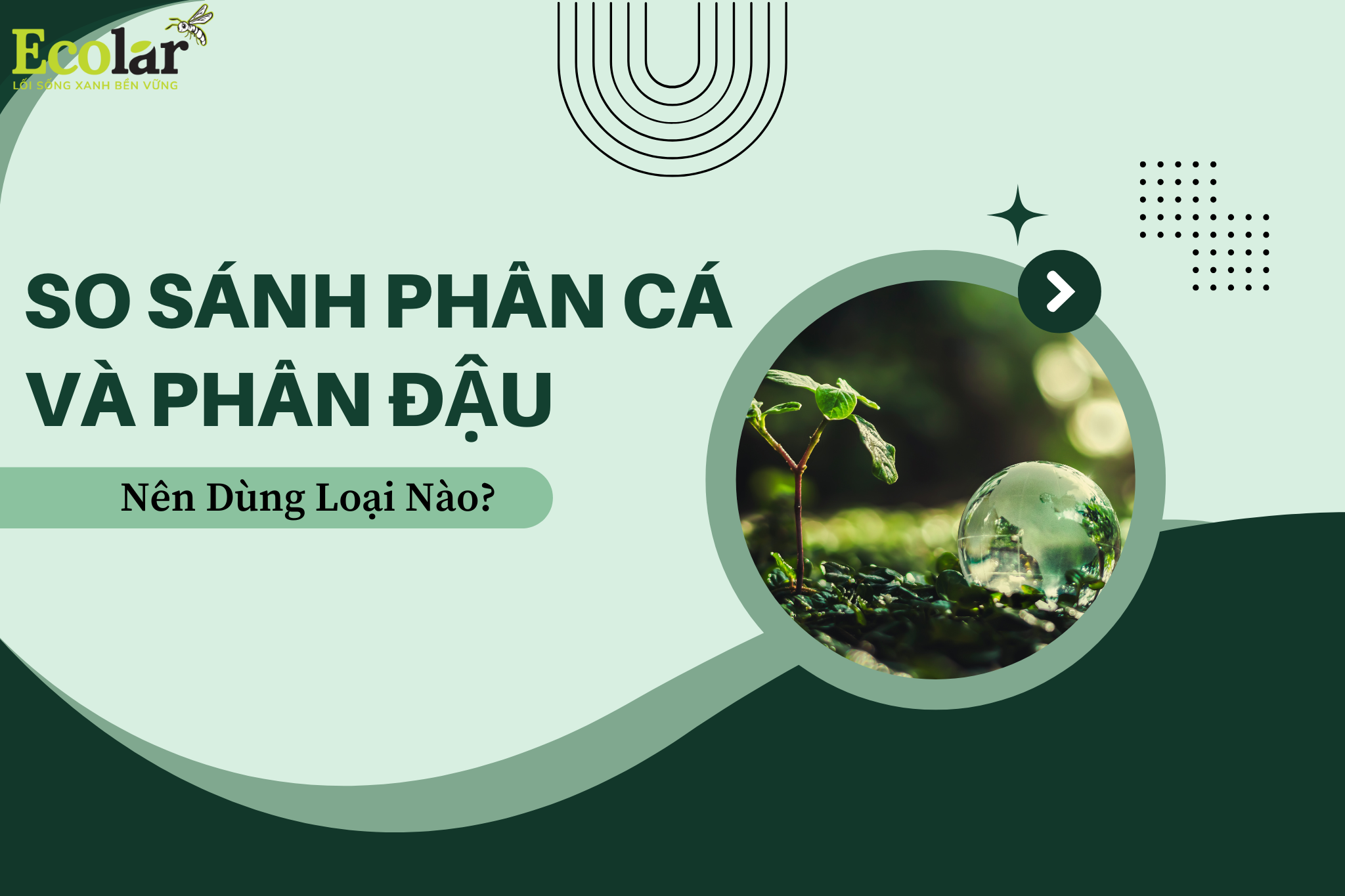 So Sánh Phân Cá Và Phân Đậu: Nên Dùng Loại Nào?