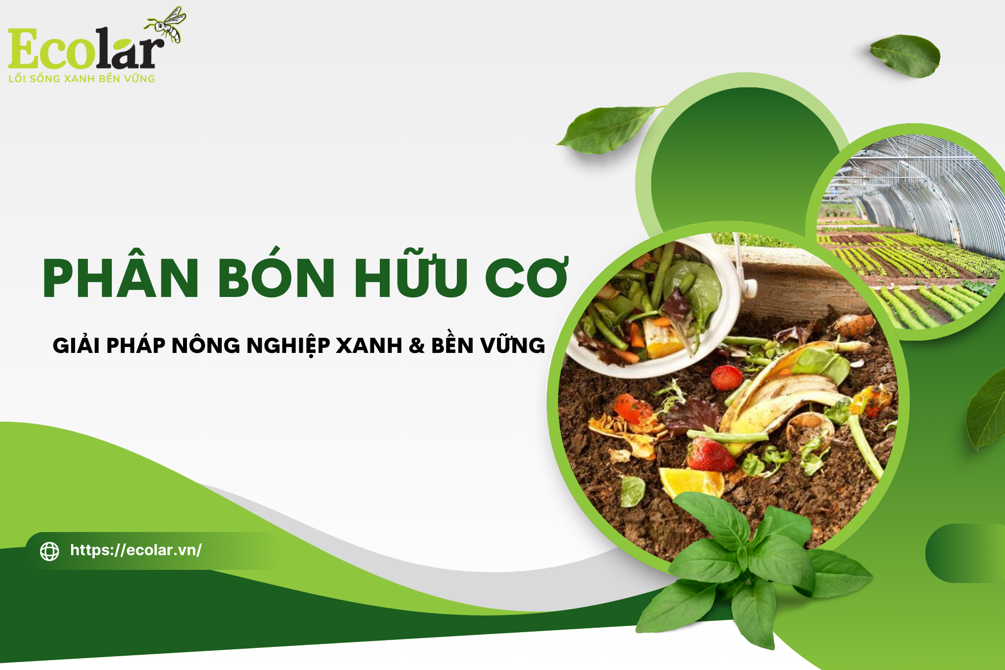 Phân Bón Hữu Cơ: Giải Pháp Nông Nghiệp Xanh & Bền Vững