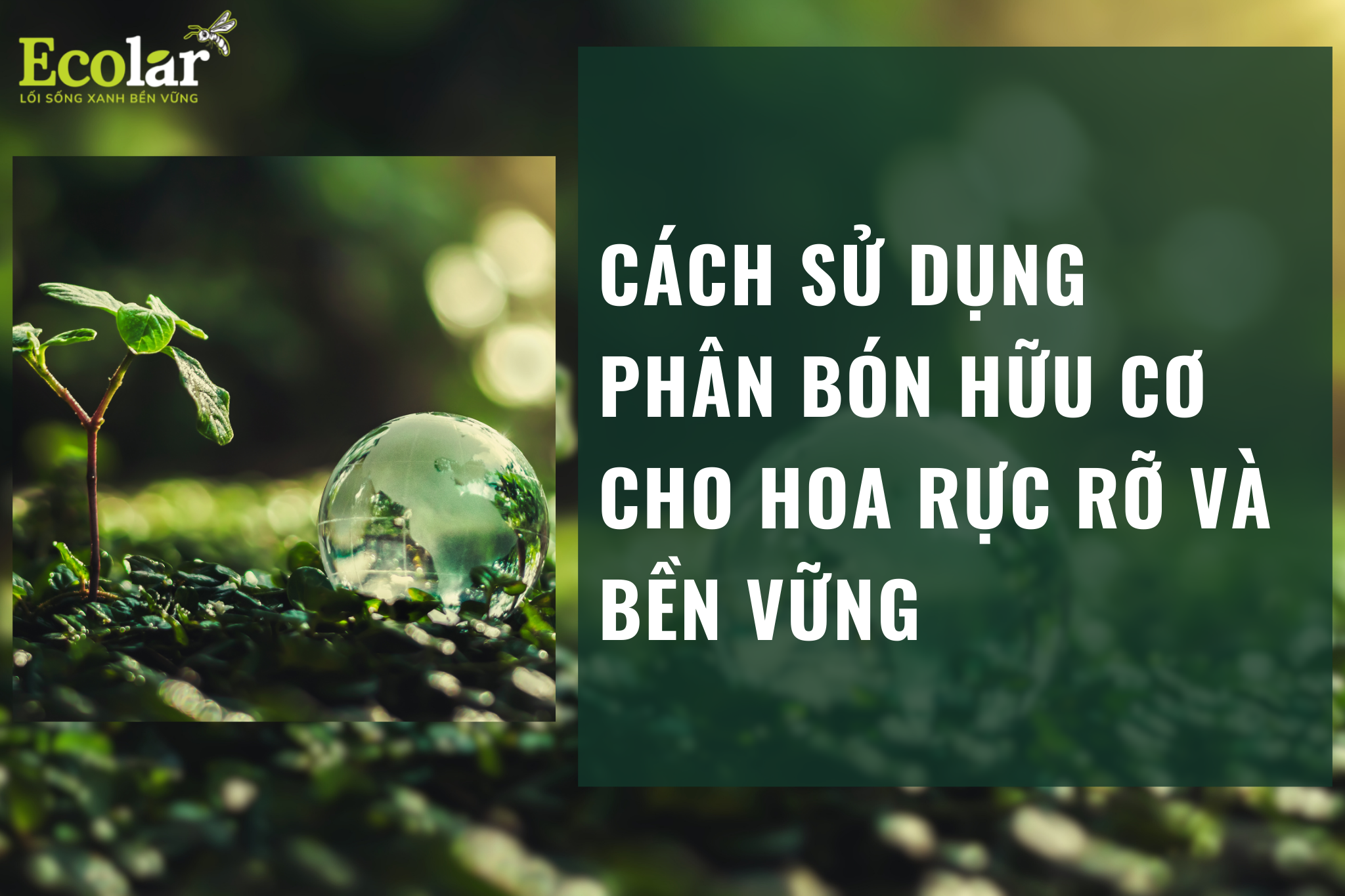 Cách sử dụng phân bón hữu cơ cho hoa rực rỡ và bền vững