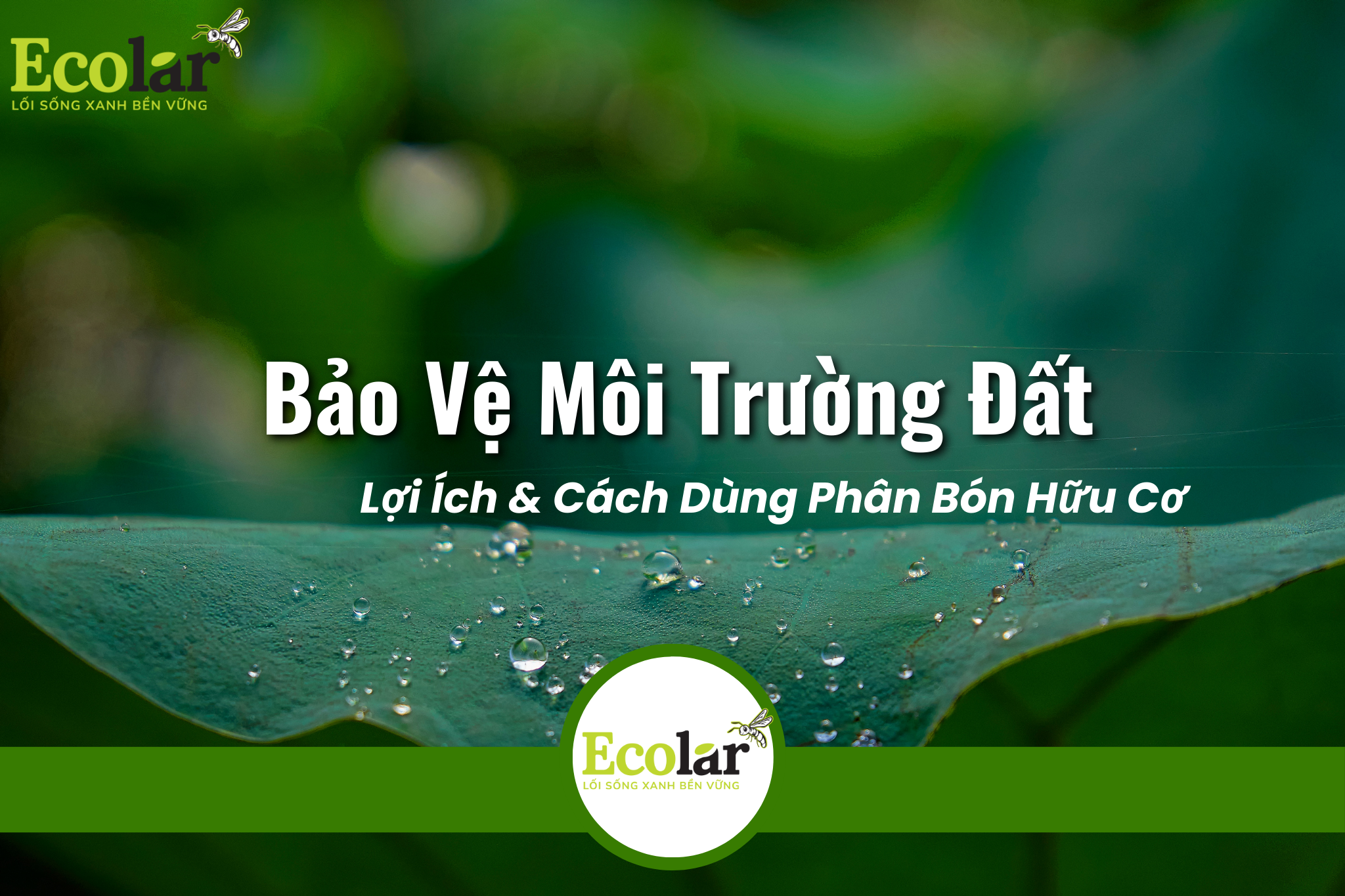 Bảo Vệ Môi Trường Đất: Lợi Ích & Cách Dùng Phân Bón Hữu Cơ