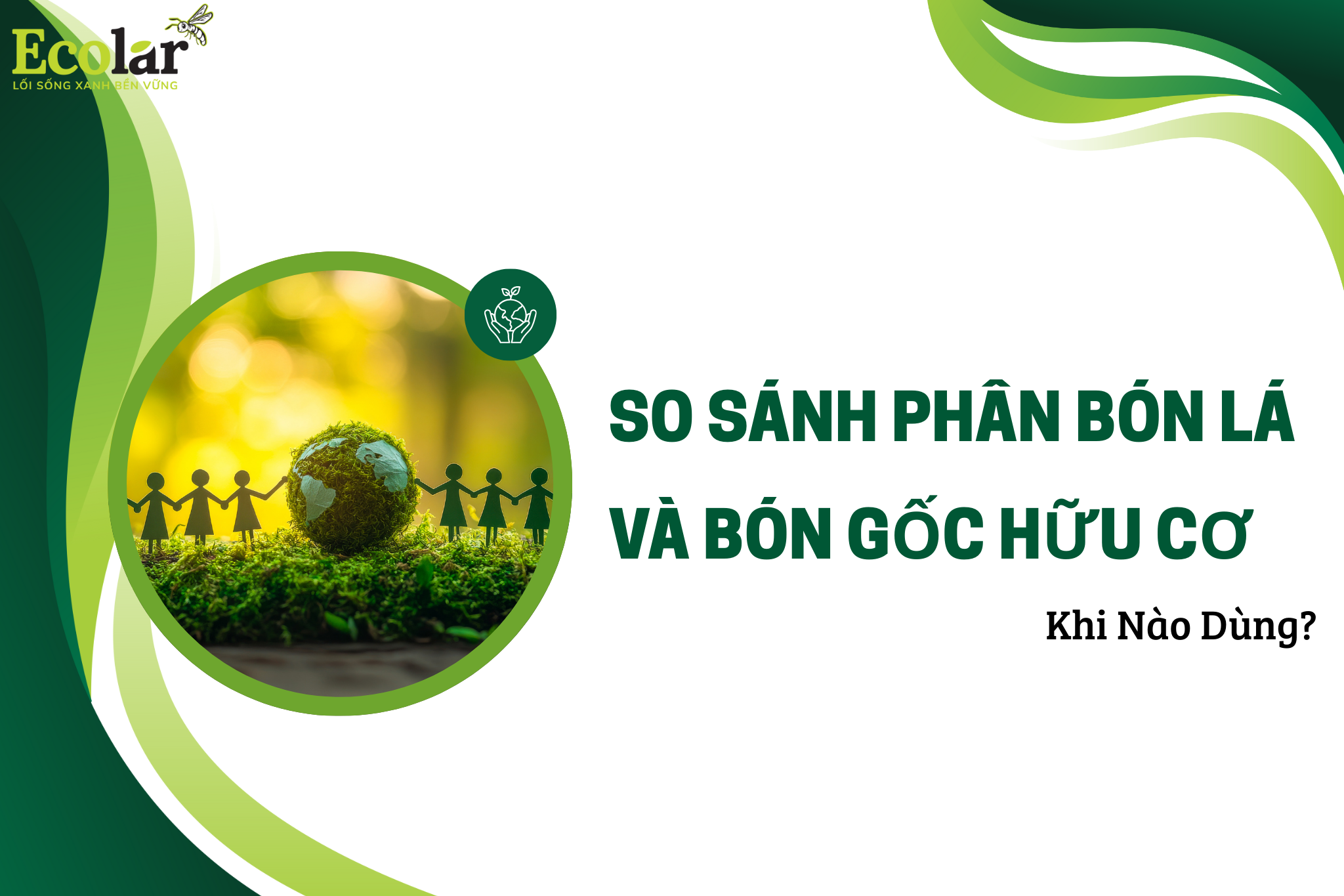 So Sánh Phân Bón Lá Và Bón Gốc Hữu Cơ: Khi Nào Dùng?