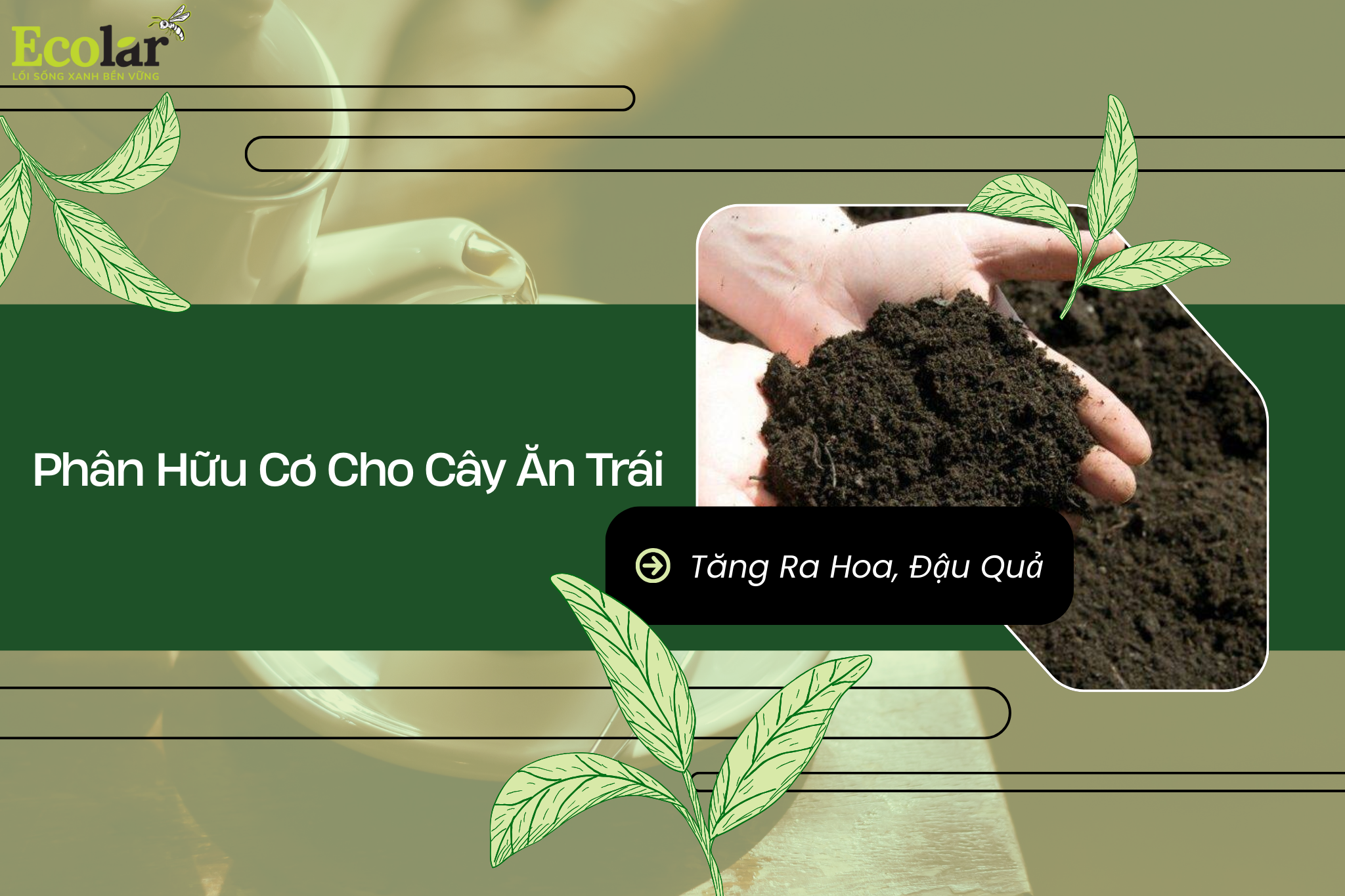 Phân Hữu Cơ Cho Cây Ăn Trái: Tăng Ra Hoa, Đậu Quả