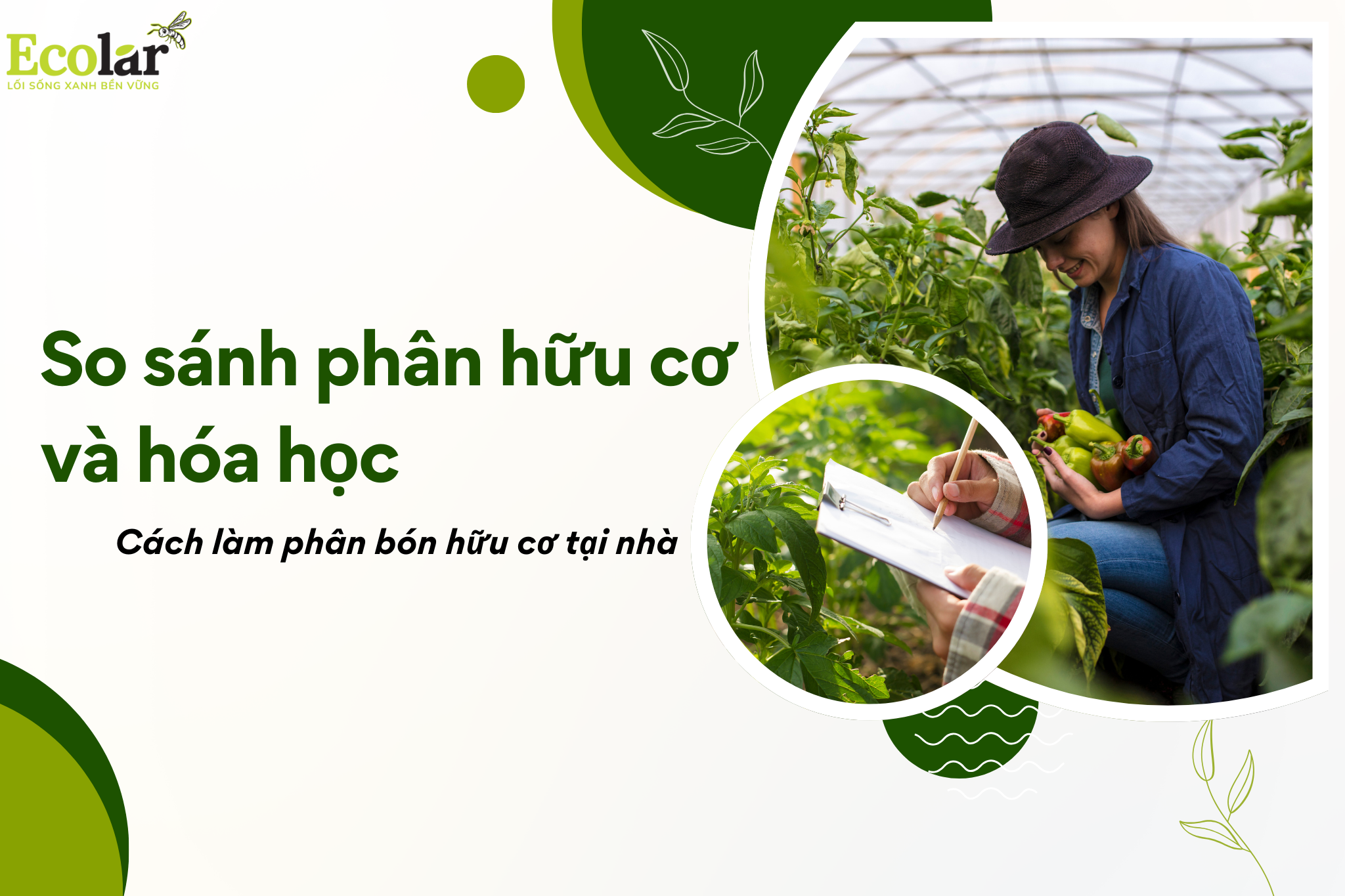 So sánh phân hữu cơ và hóa học: Cách làm phân bón hữu cơ tại nhà