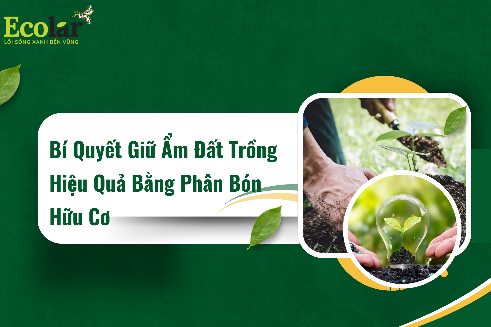 Bí Quyết Giữ Ẩm Đất Trồng Hiệu Quả Bằng Phân Bón Hữu Cơ