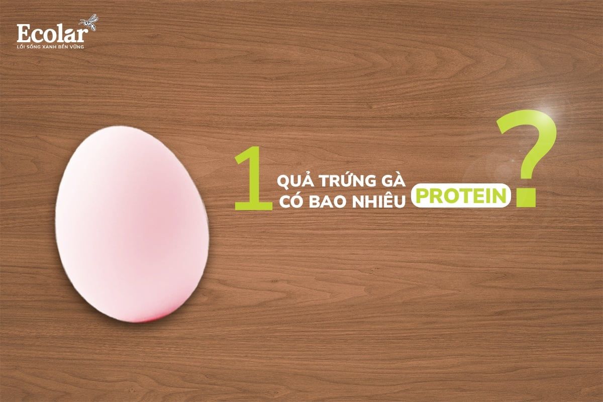 1 Quả Trứng Gà Có Bao Nhiêu Protein?