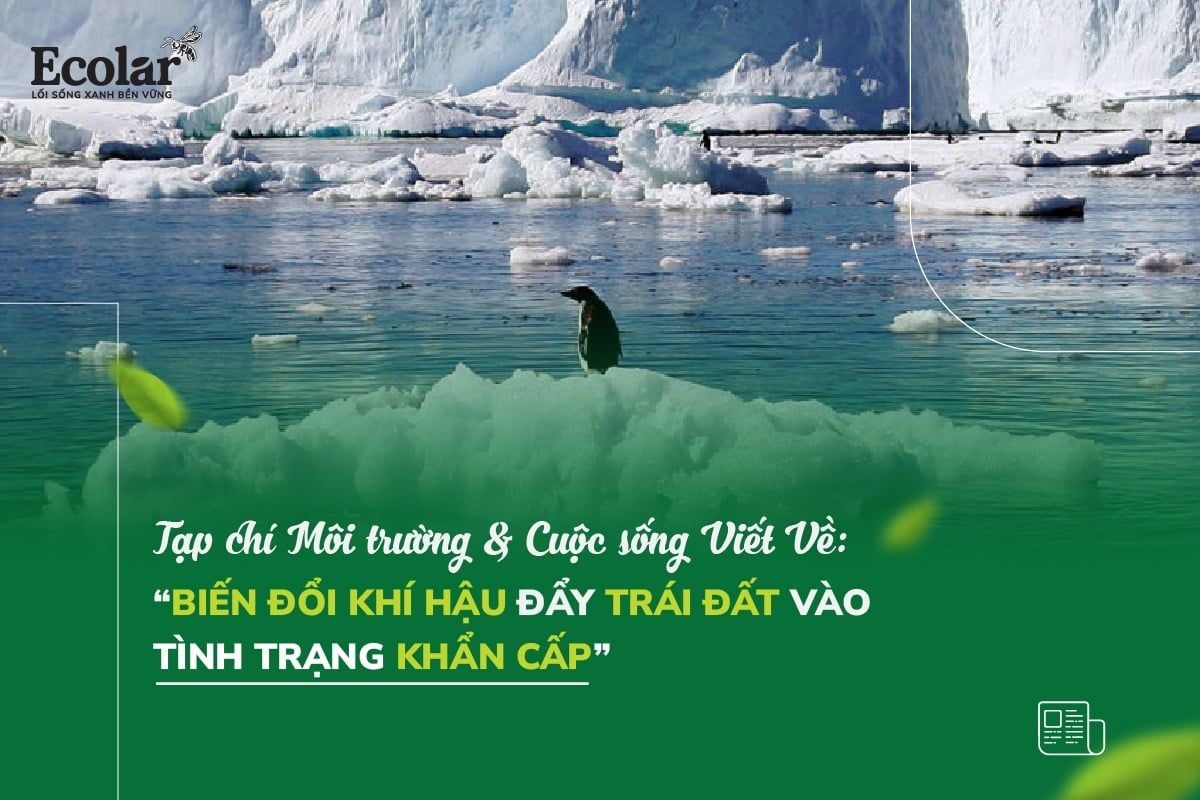 Biến đổi khí hậu đẩy trái đất vào tình trạng khẩn cấp