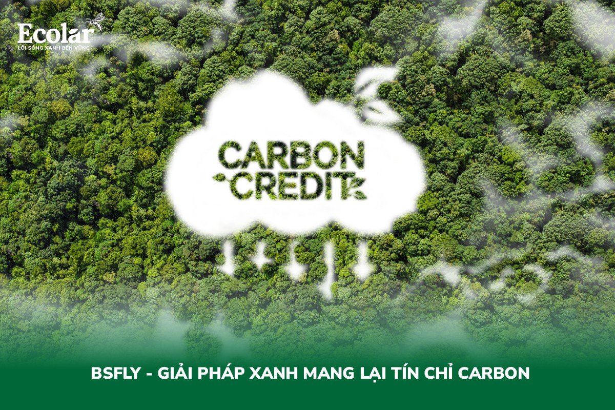 BSFLy – Giải Pháp Xanh Mang Lại Tín Chỉ Carbon