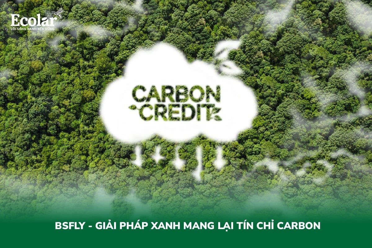 BSFLy – Giải Pháp Xanh Mang Lại Tín Chỉ Carbon
