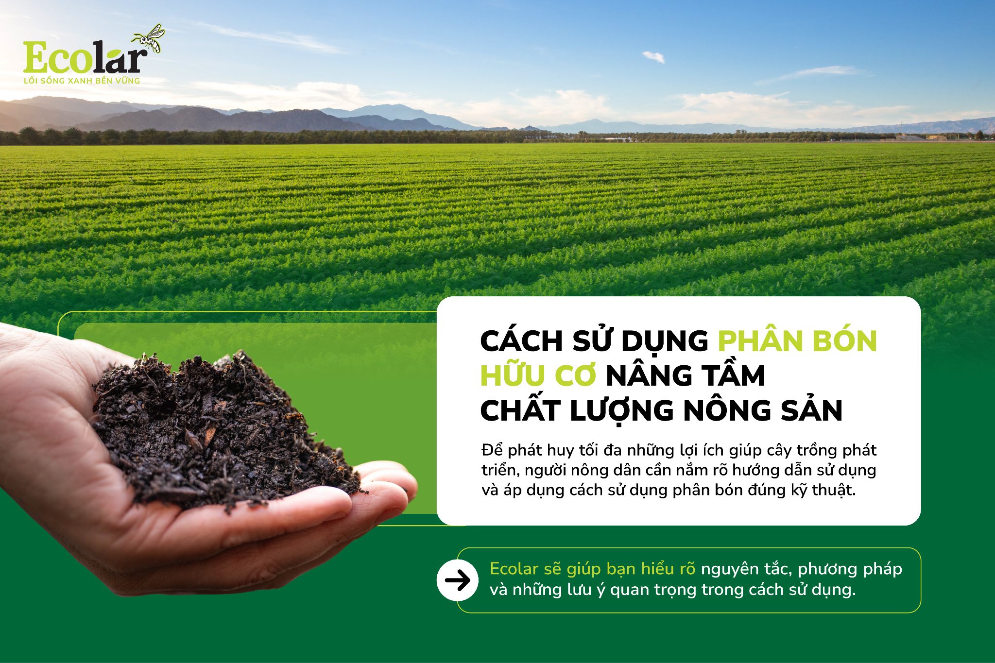 thumbnail-cach-su-dung-phan-bon-huu-co-nang-tam-chat-luong-nong-san_13fcddd93c154b309d8ef3b3c54e429a.jpg