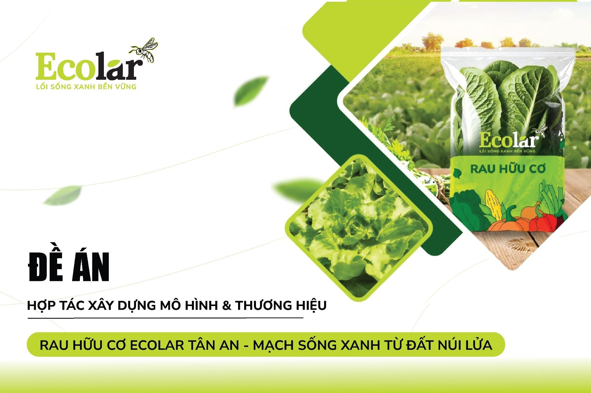 Đề án Hợp tác xây dựng mô hình & thương hiệu Rau hữu cơ Ecolar Tân An - Mạch sống xanh từ đất núi lửa