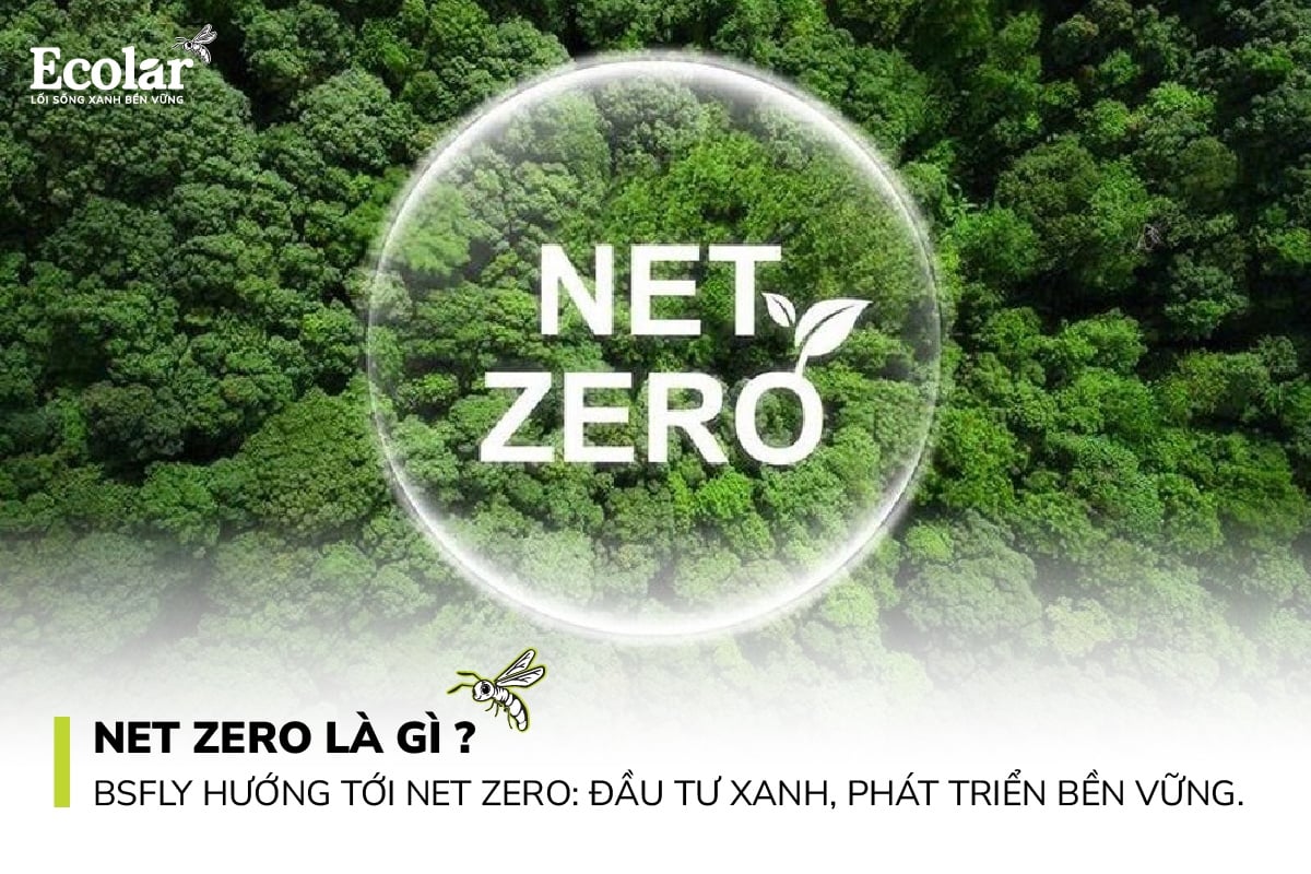 Net-Zero là gì? BSFly Hướng Tới Net-Zero: Đầu Tư Xanh, Phát Triển Bền Vững