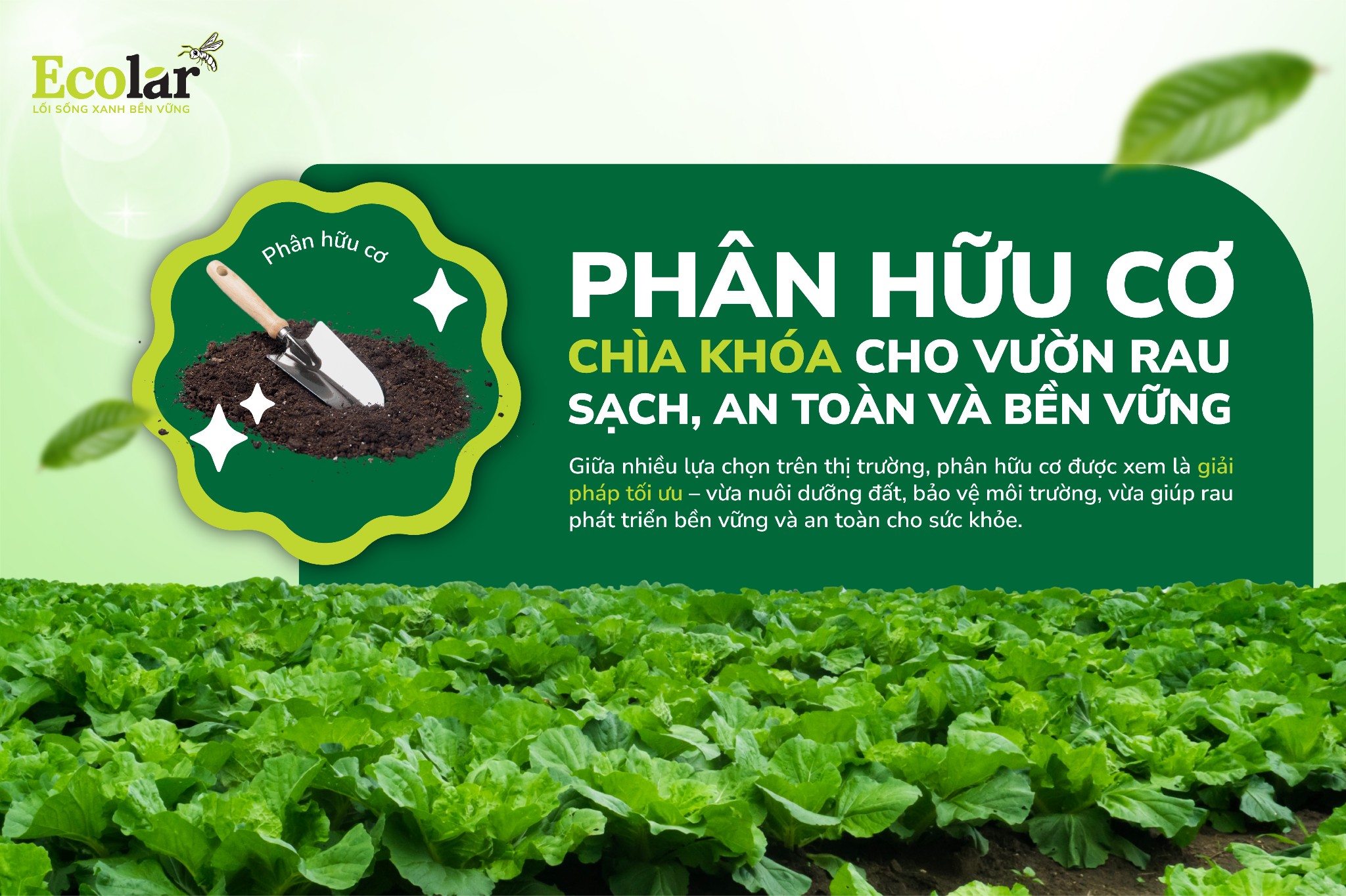 Phân Bón Hữu Cơ Cho Rau Sạch - Trồng Rau Dễ Dàng Tại Nhà
