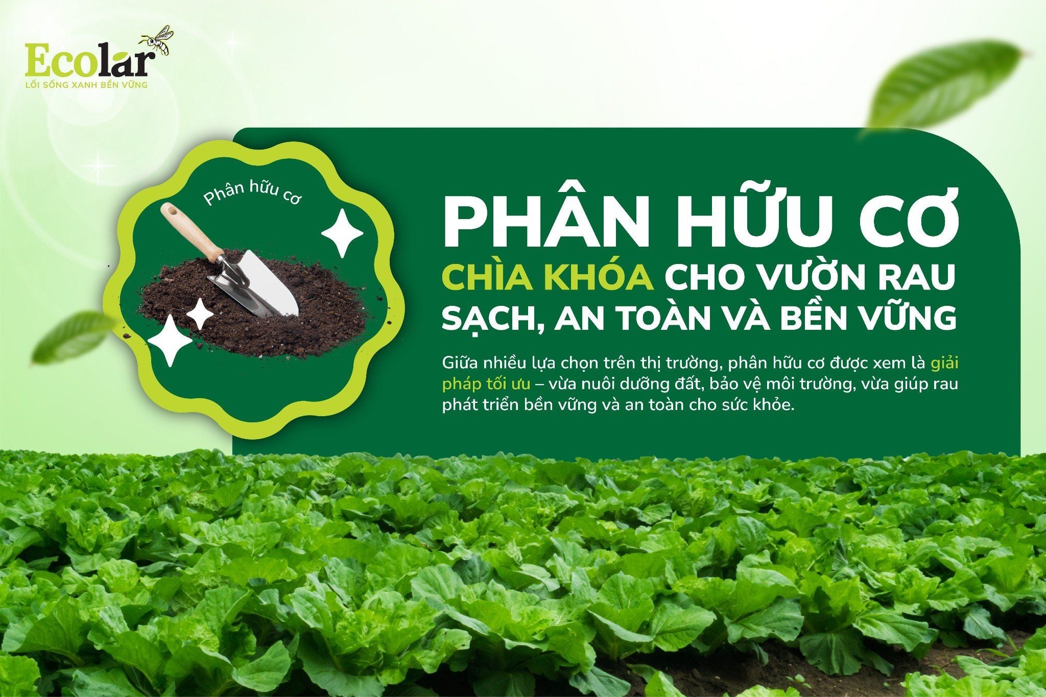 Phân Bón Hữu Cơ Cho Rau Sạch - Trồng Rau Dễ Dàng Tại Nhà
