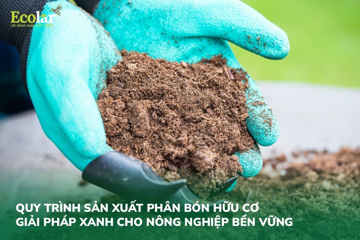 Quy Trình Sản Xuất Phân Bón Hữu Cơ: Giải Pháp Xanh Cho Nông Nghiệp Bền Vững
