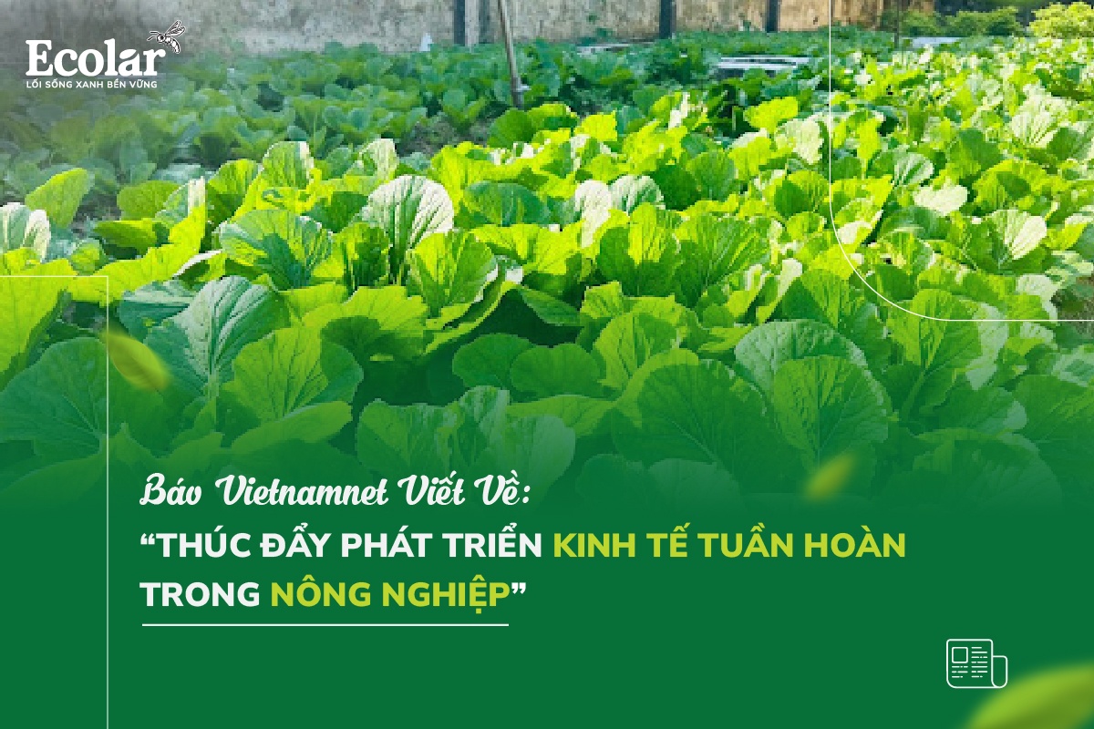 Thúc đẩy phát triển kinh tế tuần hoàn trong nông nghiệp