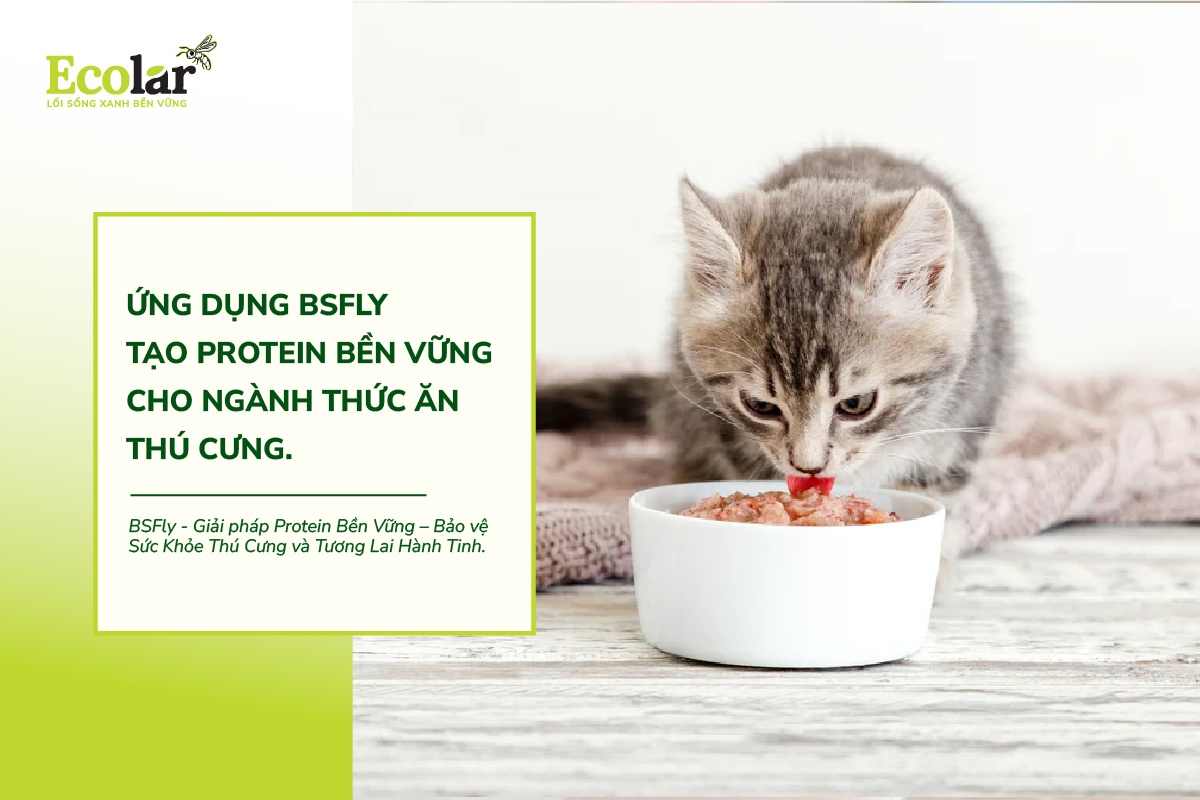 Ứng Dụng BSFly Tạo Protein Bền Vững Cho Ngành Thức Ăn Thú Cưng