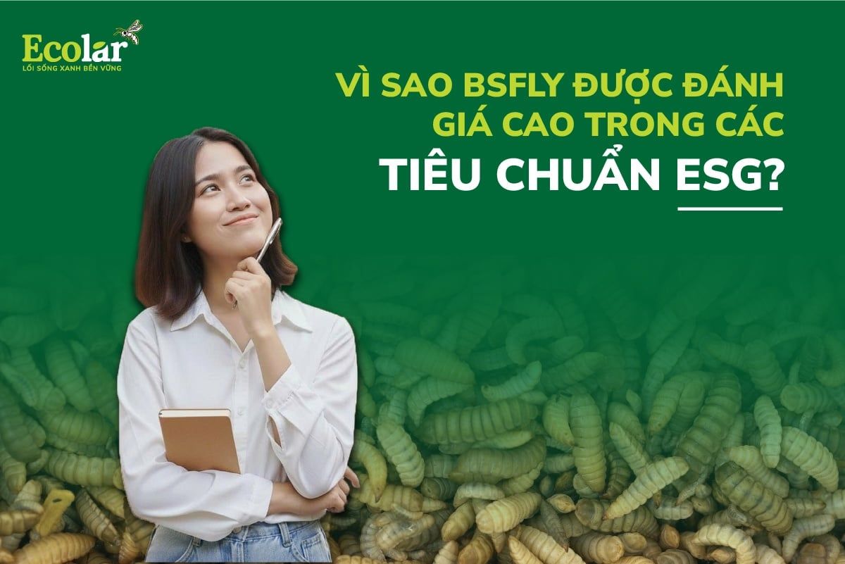 Vì Sao BSFly Được Đánh Giá Cao Trong Các Tiêu Chuẩn ESG?