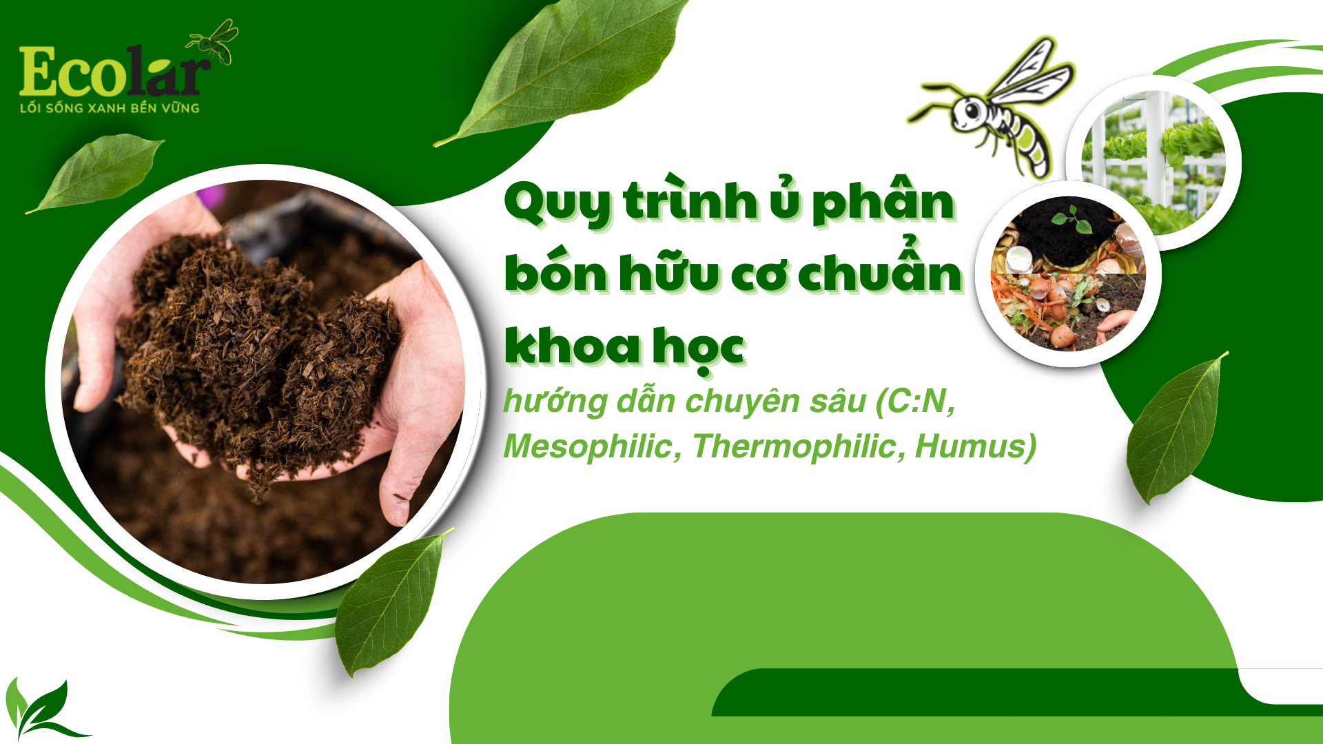 Quy trình ủ phân bón hữu cơ chuẩn khoa học: hướng dẫn chuyên sâu (C:N, Mesophilic, Thermophilic, Humus)