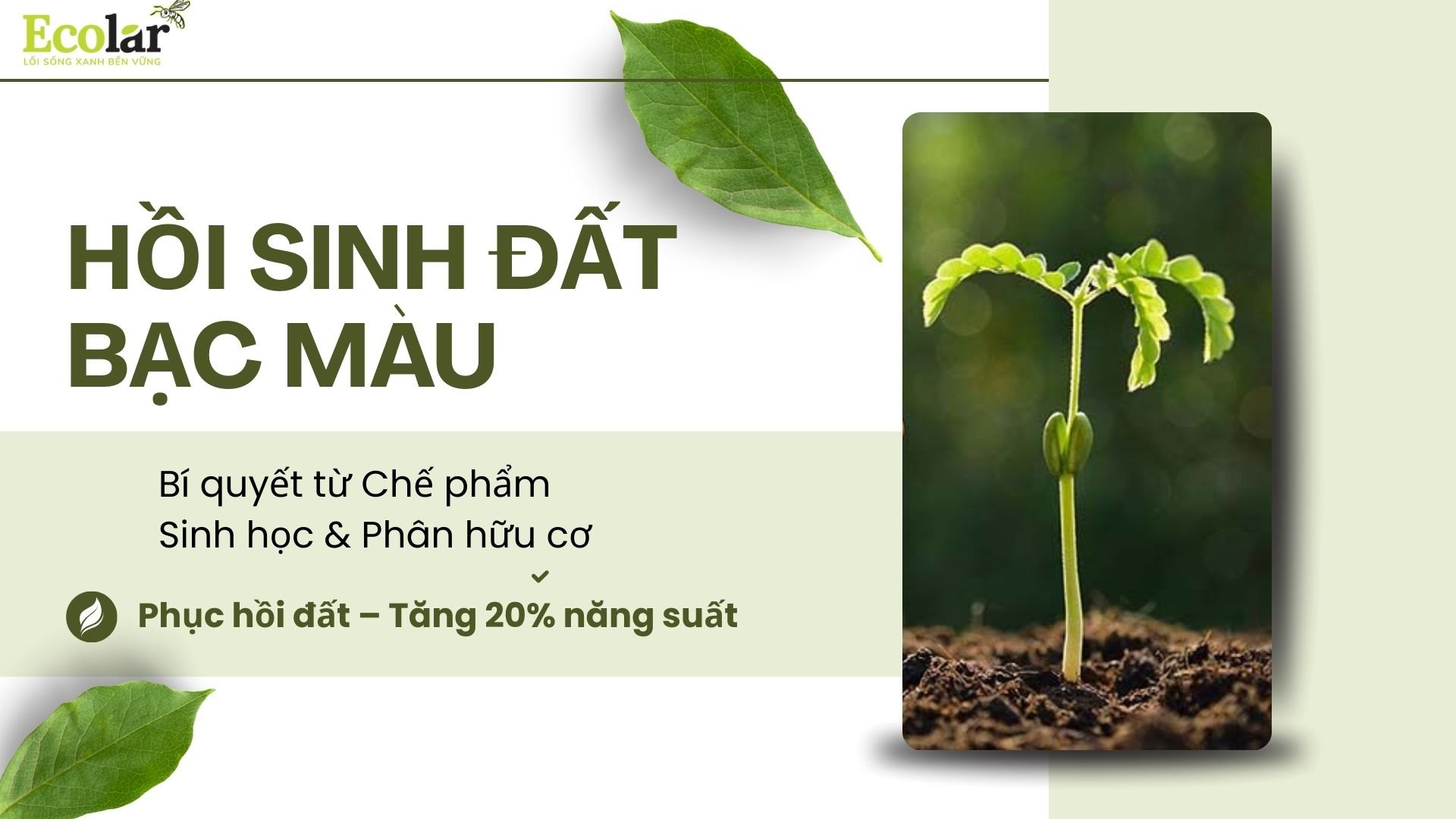 Chế Phẩm Sinh Học Nông Nghiệp: Nền Tảng Phân Bón Hữu Cơ