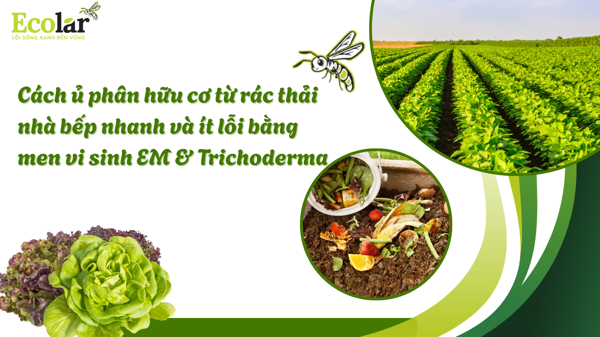 Cách ủ phân hữu cơ từ rác thải nhà bếp nhanh và ít lỗi bằng men vi sinh EM & Trichoderma