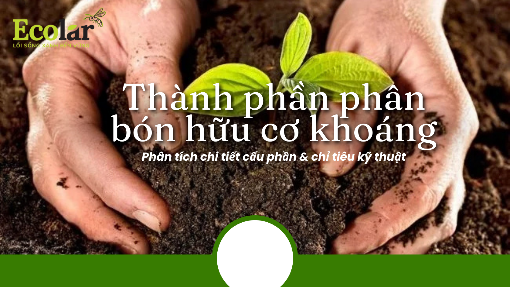 Thành phần phân bón hữu cơ khoáng: Phân tích chi tiết cấu phần & chỉ tiêu kỹ thuật
