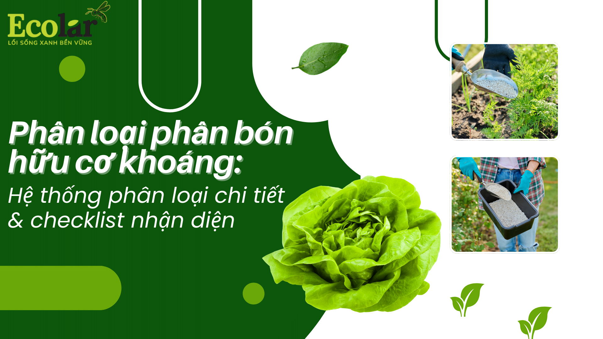 Phân loại phân bón hữu cơ khoáng: Hệ thống phân loại chi tiết & checklist nhận diện
