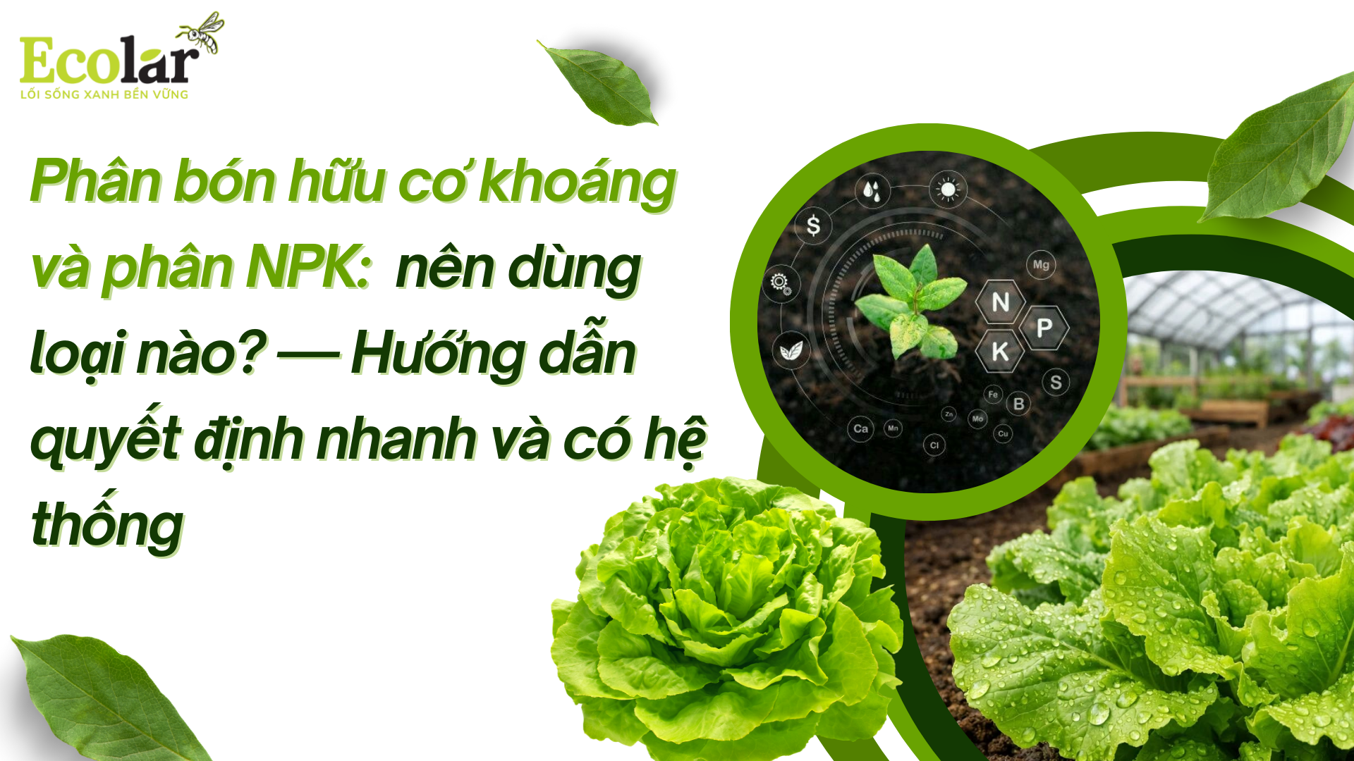 Phân bón hữu cơ khoáng và phân NPK: nên dùng loại nào? — Hướng dẫn quyết định nhanh và có hệ thống