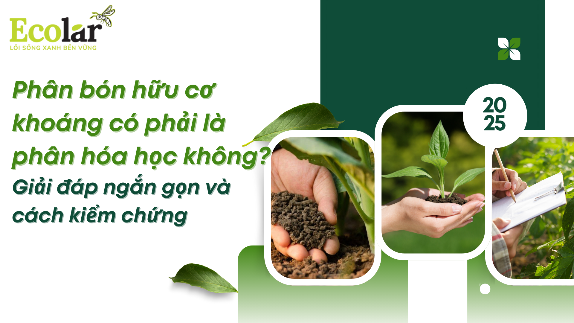 Phân bón hữu cơ khoáng có phải là phân hóa học không? Giải đáp ngắn gọn và cách kiểm chứng