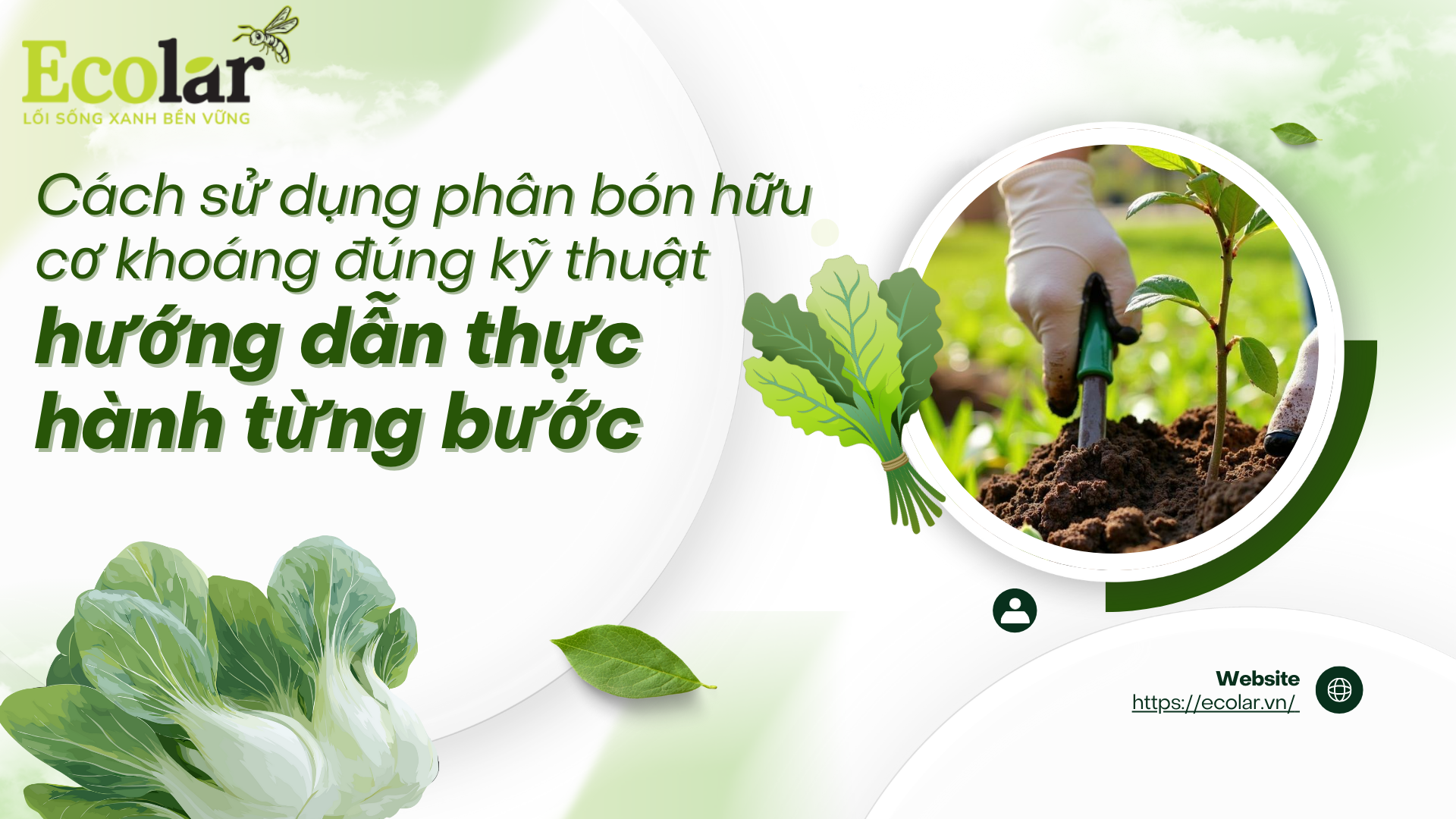 Cách sử dụng phân bón hữu cơ khoáng đúng kỹ thuật — hướng dẫn thực hành từng bước